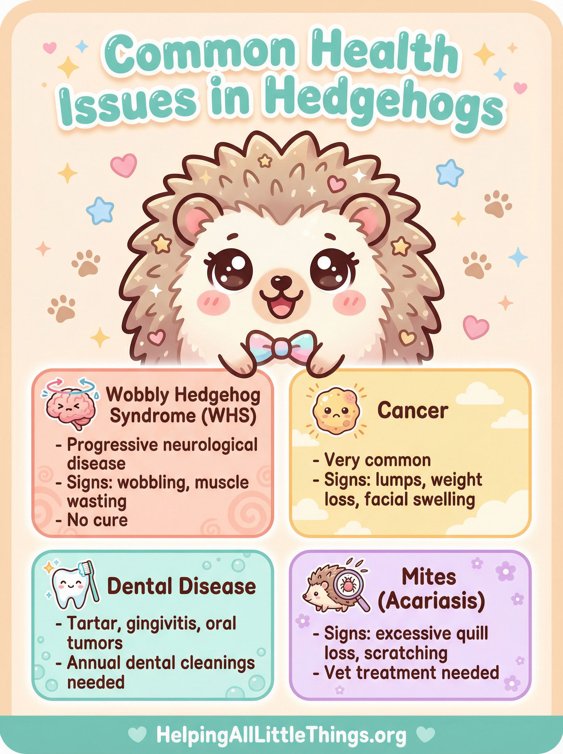 An infographic summarizing the most common health issues in hedgehogs: Wobbly Hedgehog Syndrome (WHS), Cancer, Dental Disease, and Obesity.