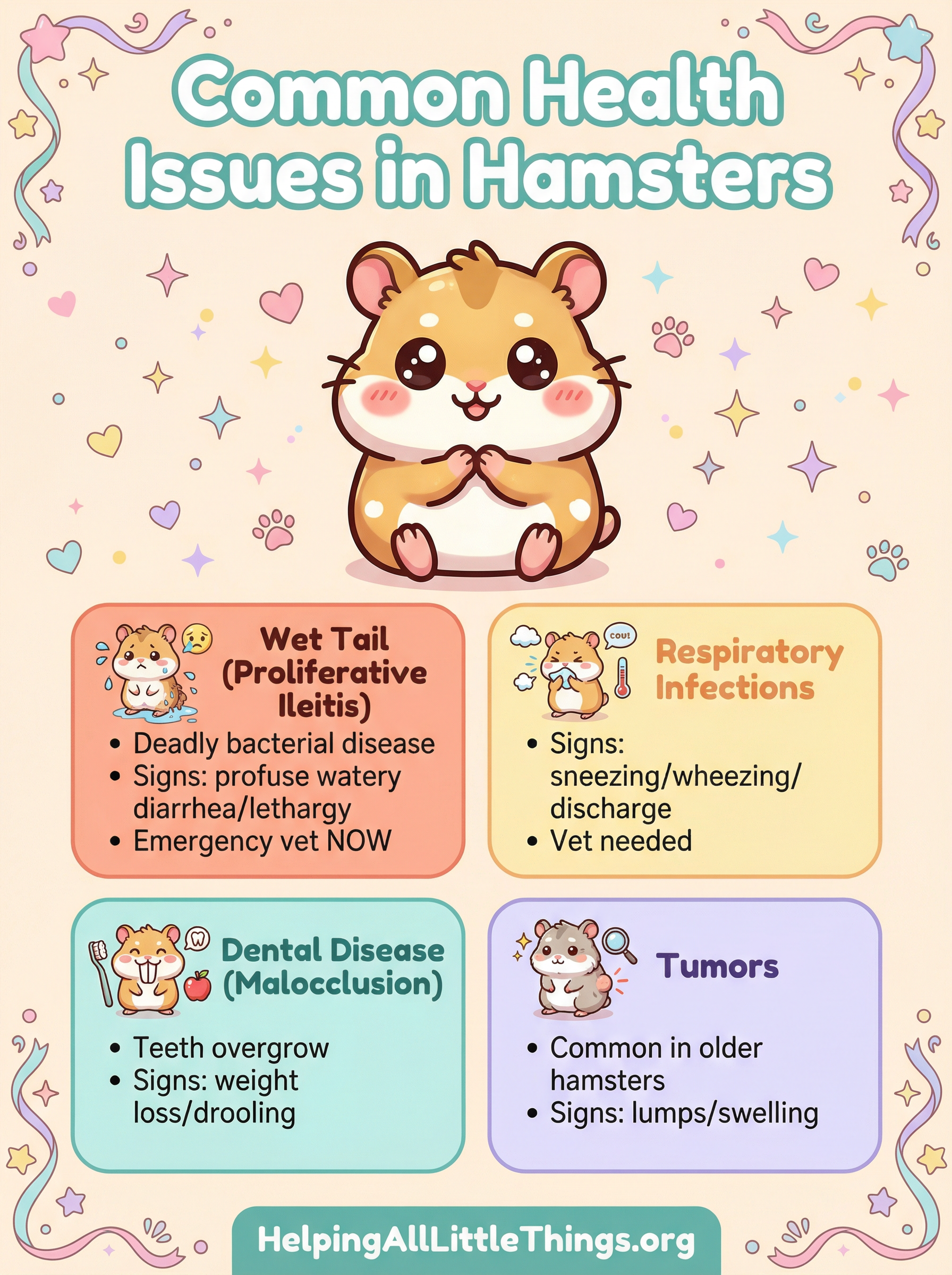 An infographic summarizing the most common health issues in hamsters: Wet Tail, Respiratory Infections, Dental Disease, and Tumors.