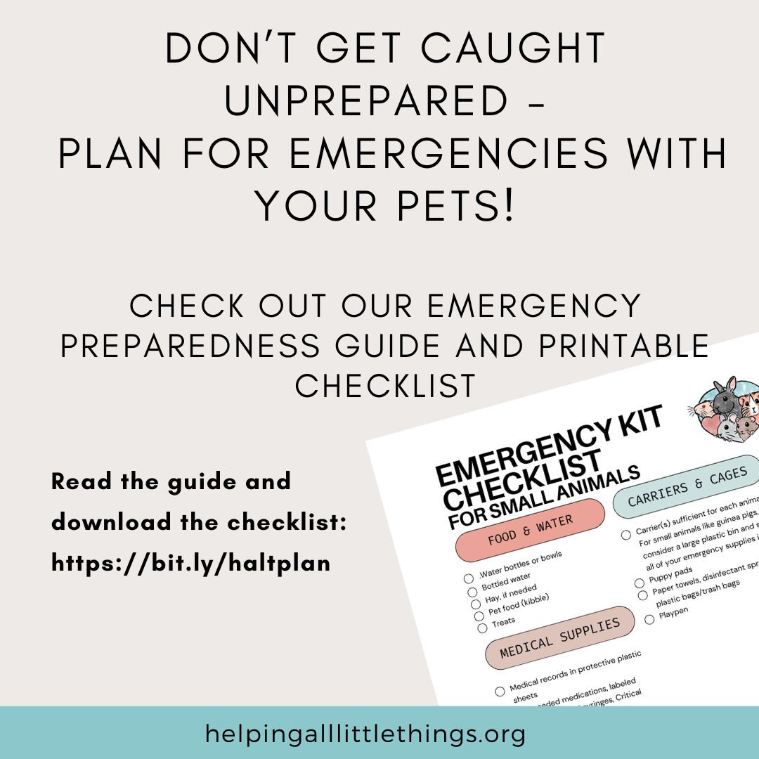 Emergency Preparedness Graphic