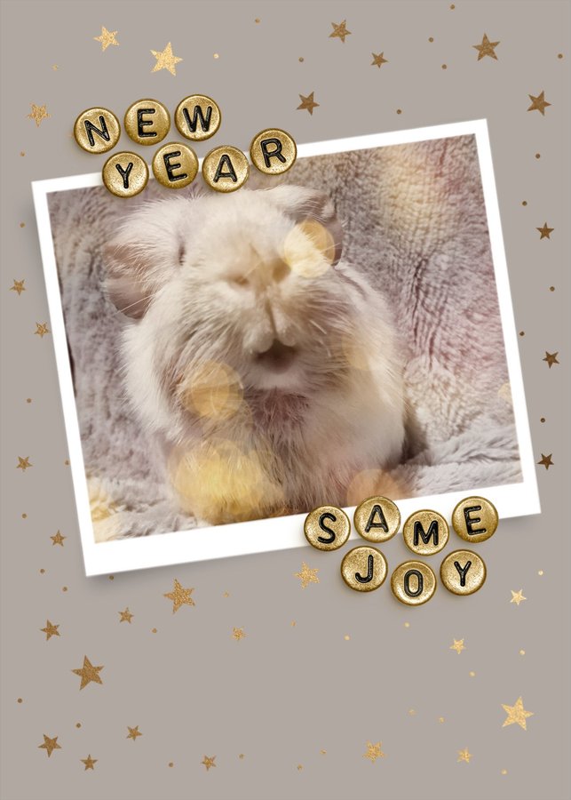 The HALT team reflecting on an incredible year