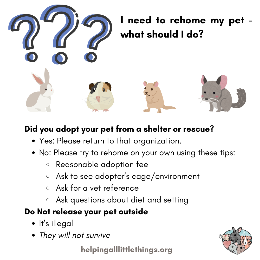 Rehoming Your Pet Graphic