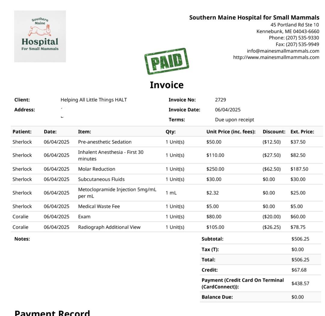 Vet Invoice