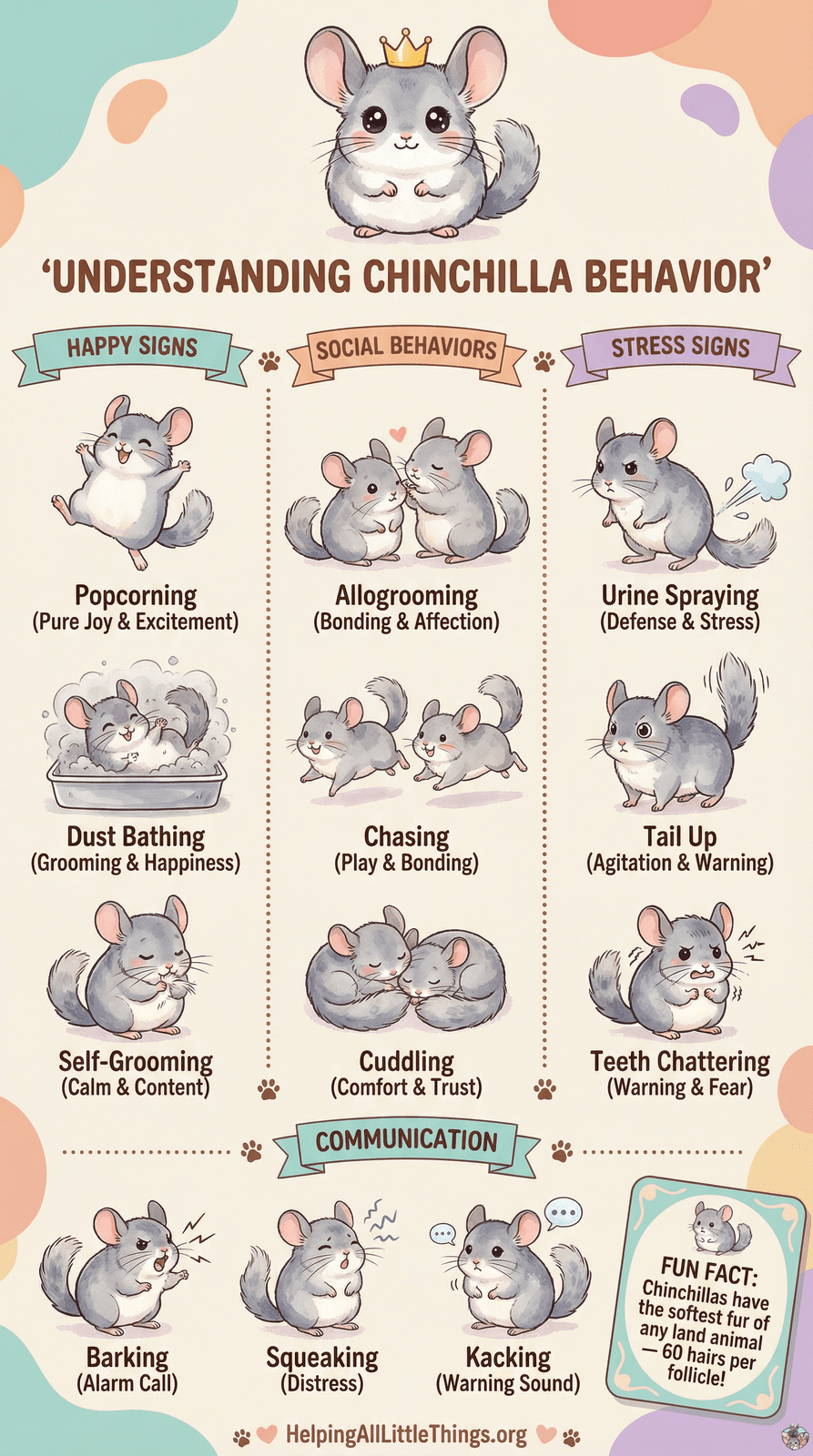 Infographic from Helping All Little Things