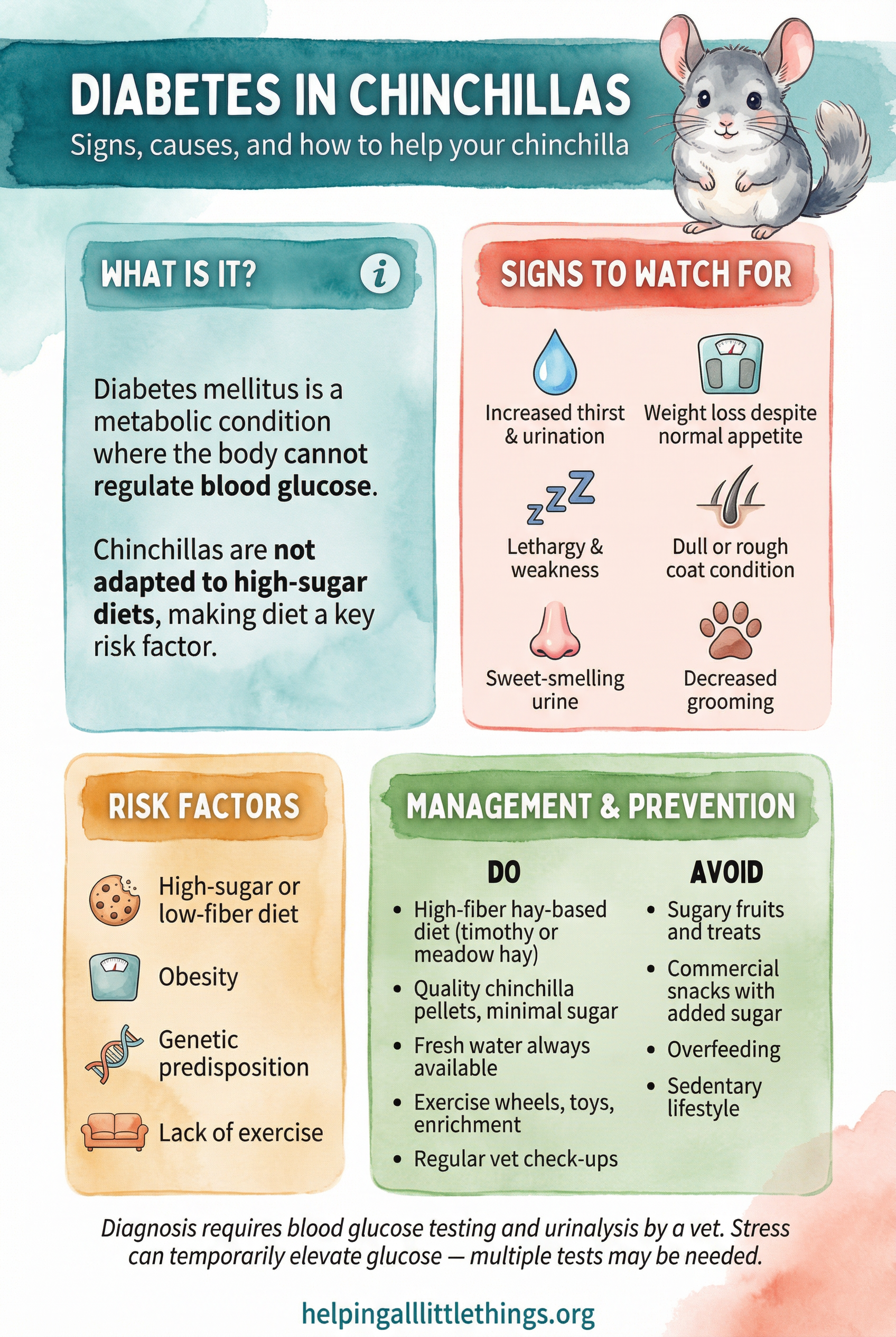 Infographic from Helping All Little Things