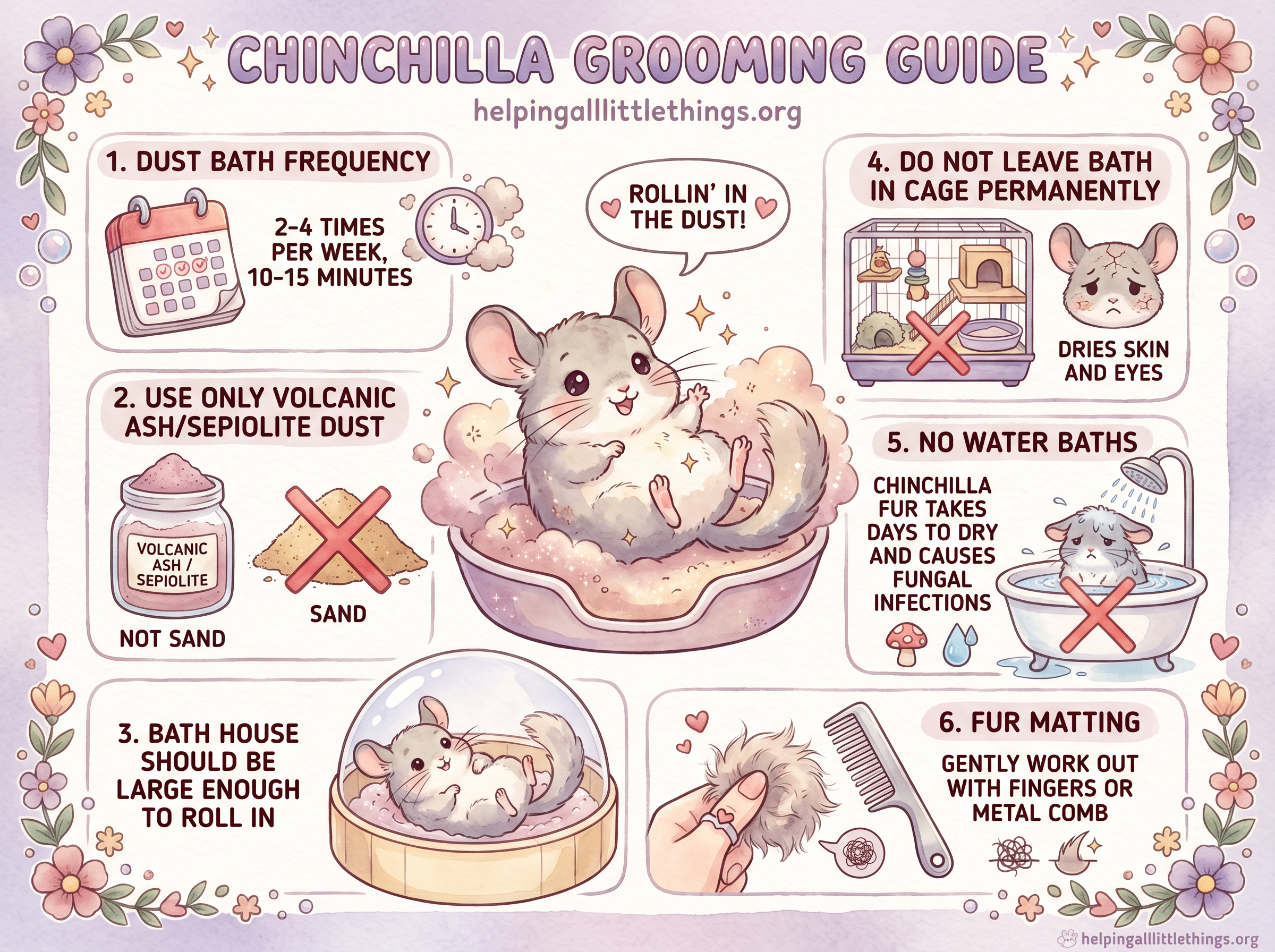 Kawaii infographic: Chinchilla Grooming Guide — dust bath frequency, volcanic ash dust, bath house size, no permanent bath, no water baths, and fur matting tips