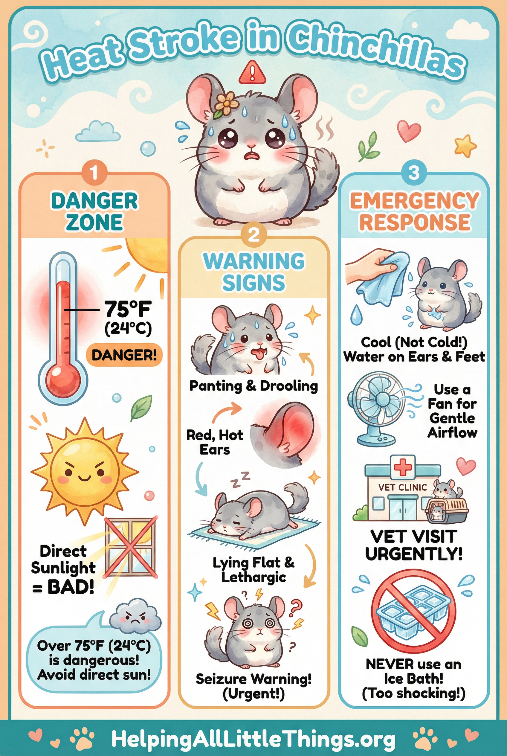 Infographic from Helping All Little Things