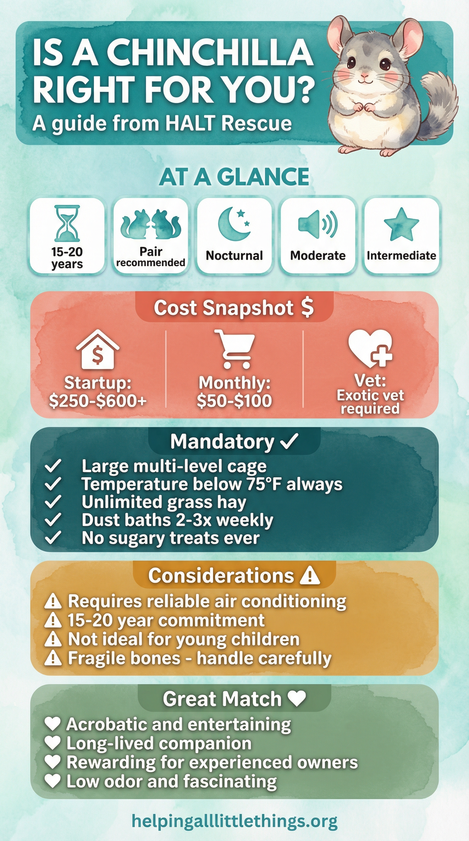 Is a Chinchilla Right for You? Quick reference guide from HALT Rescue