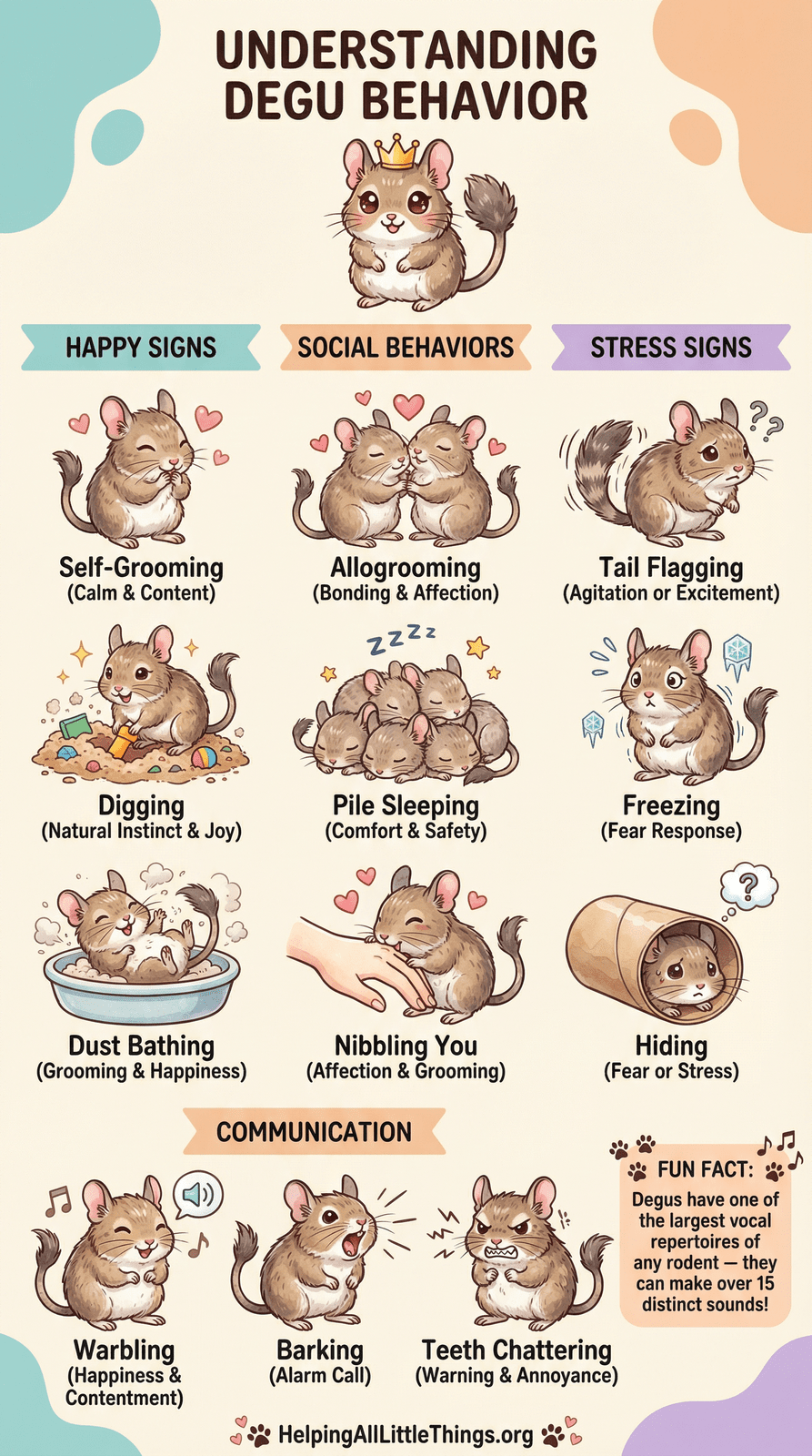 Infographic from Helping All Little Things