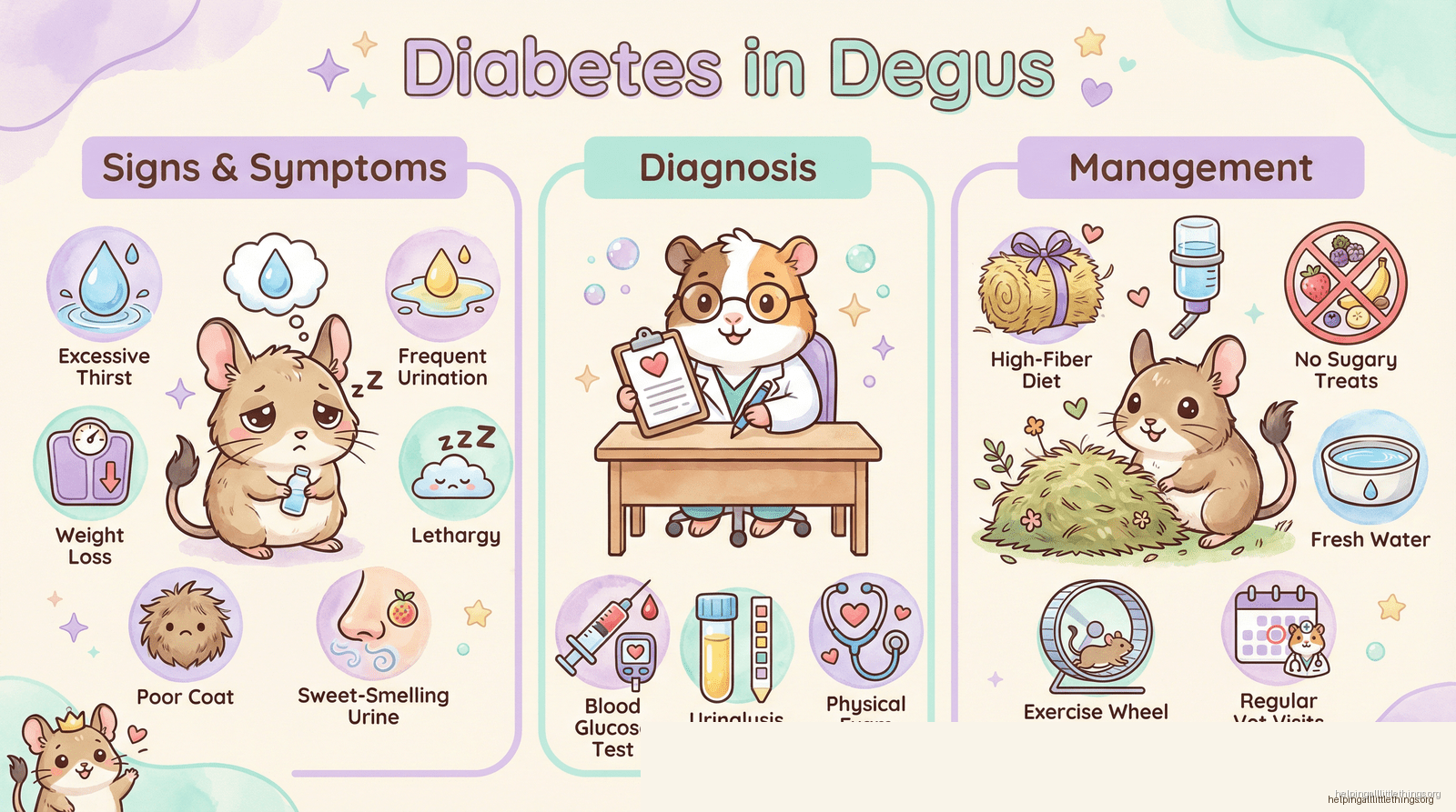 Infographic from Helping All Little Things
