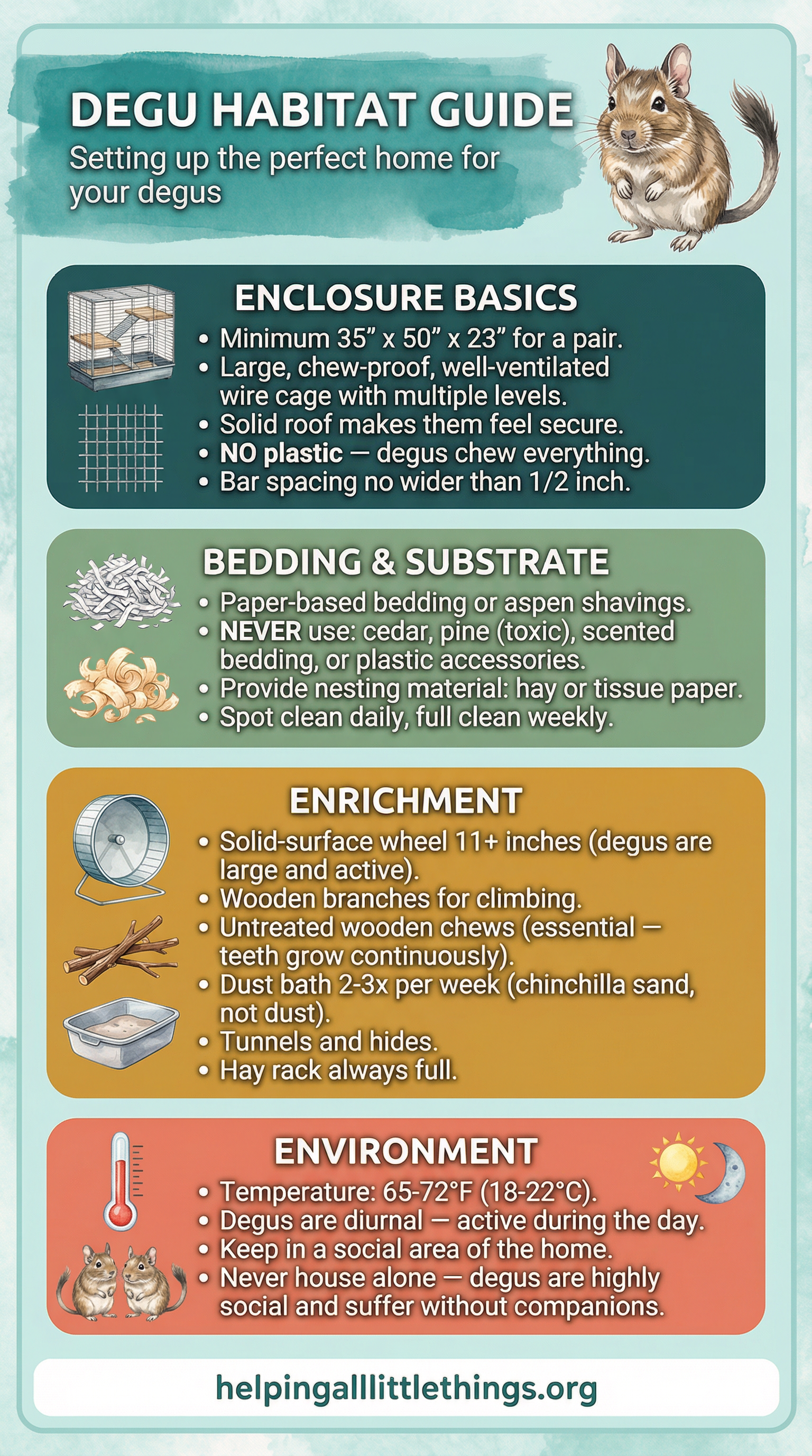 An infographic showing the ideal habitat setup for degus, including enclosure type, bedding, enrichment items, and environmental conditions.