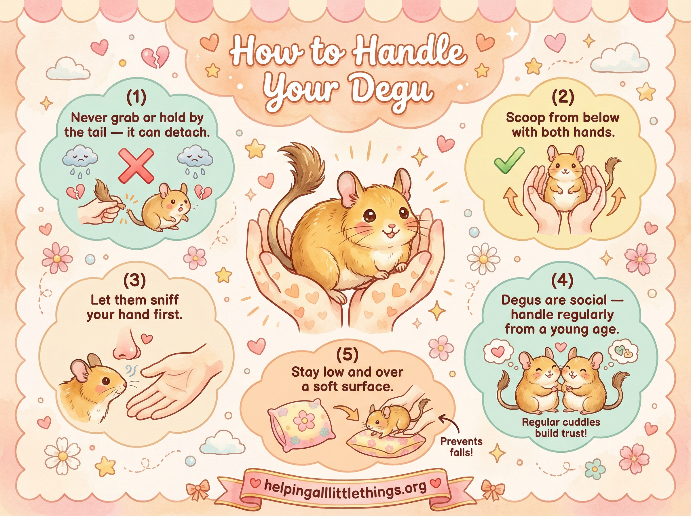 Infographic from Helping All Little Things