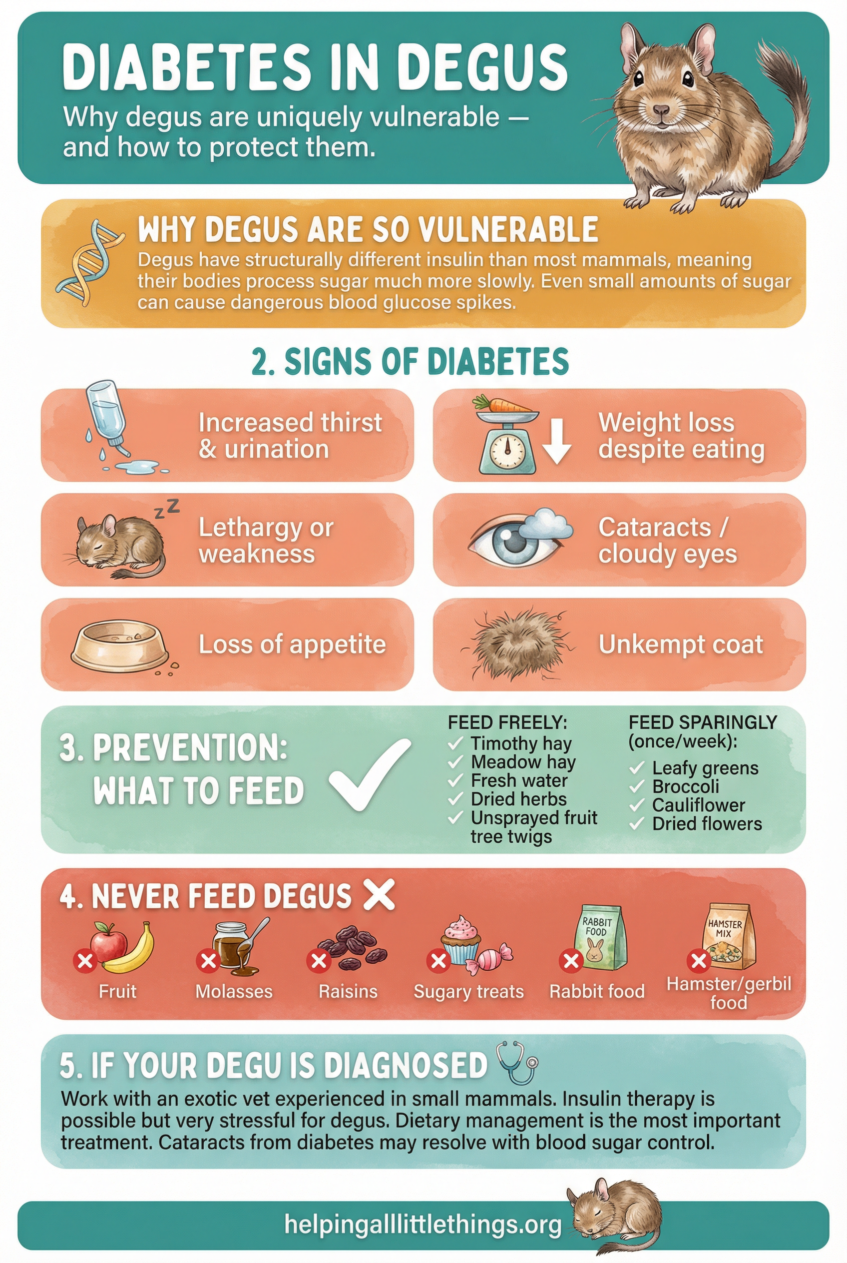 Infographic from Helping All Little Things