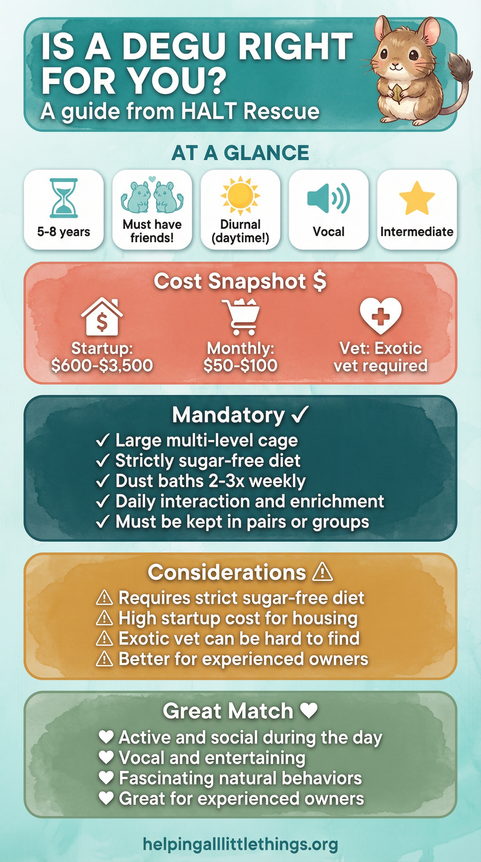 Is a Degu Right for You? Quick reference guide from HALT Rescue