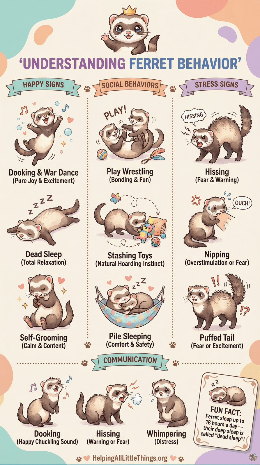 Infographic from Helping All Little Things