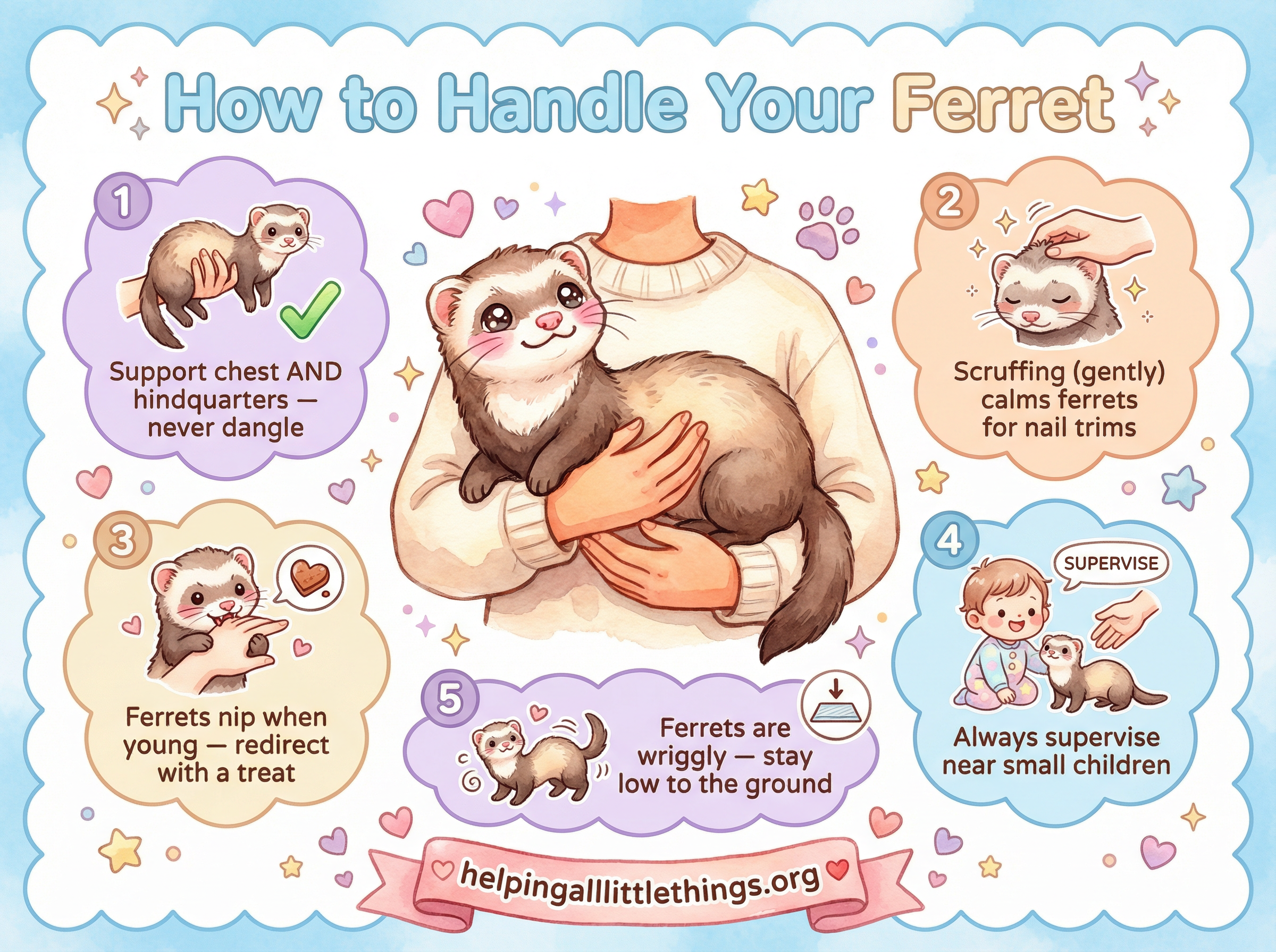 Infographic from Helping All Little Things