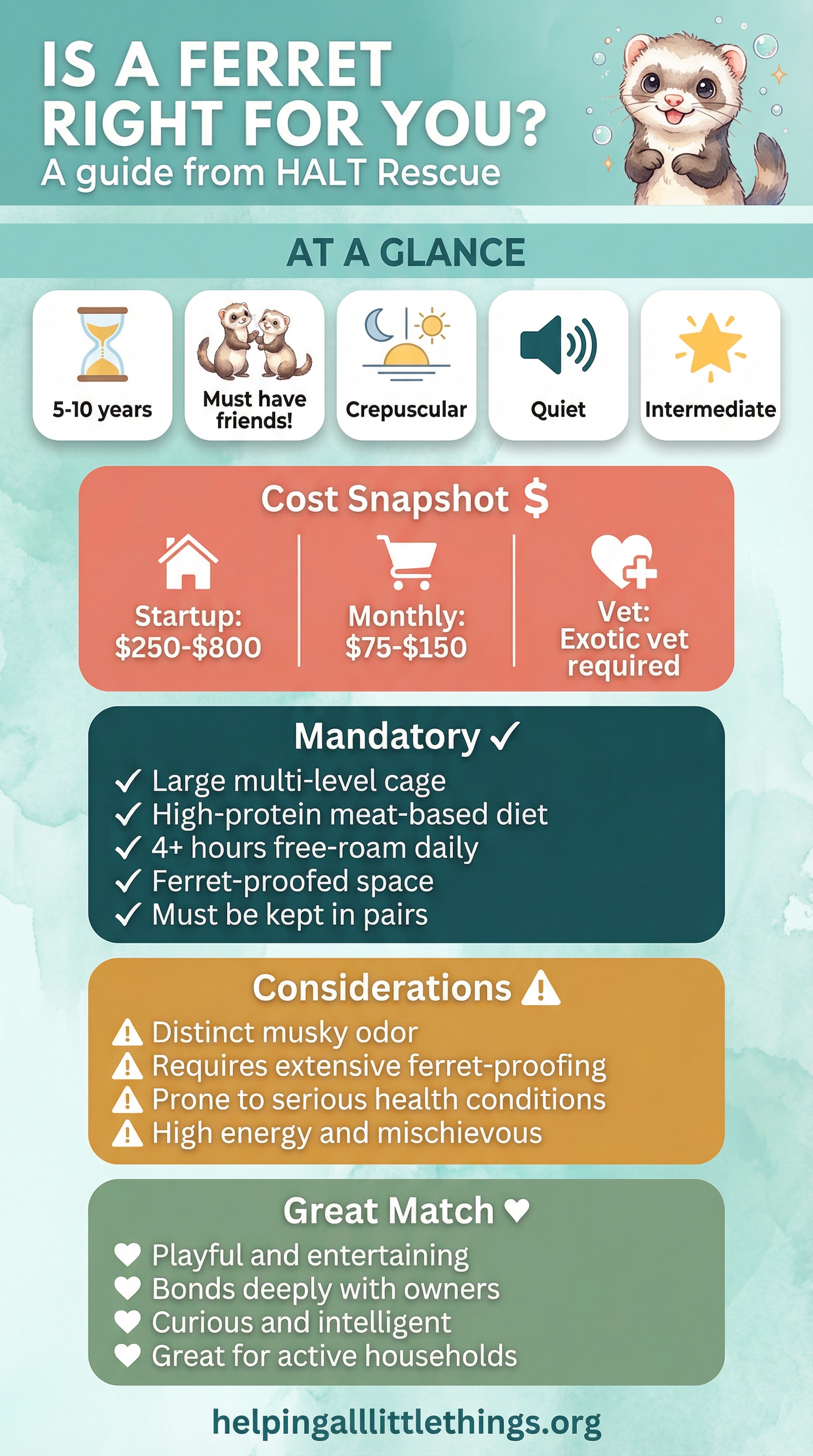 Is a Ferret Right for You? Quick reference guide from HALT Rescue