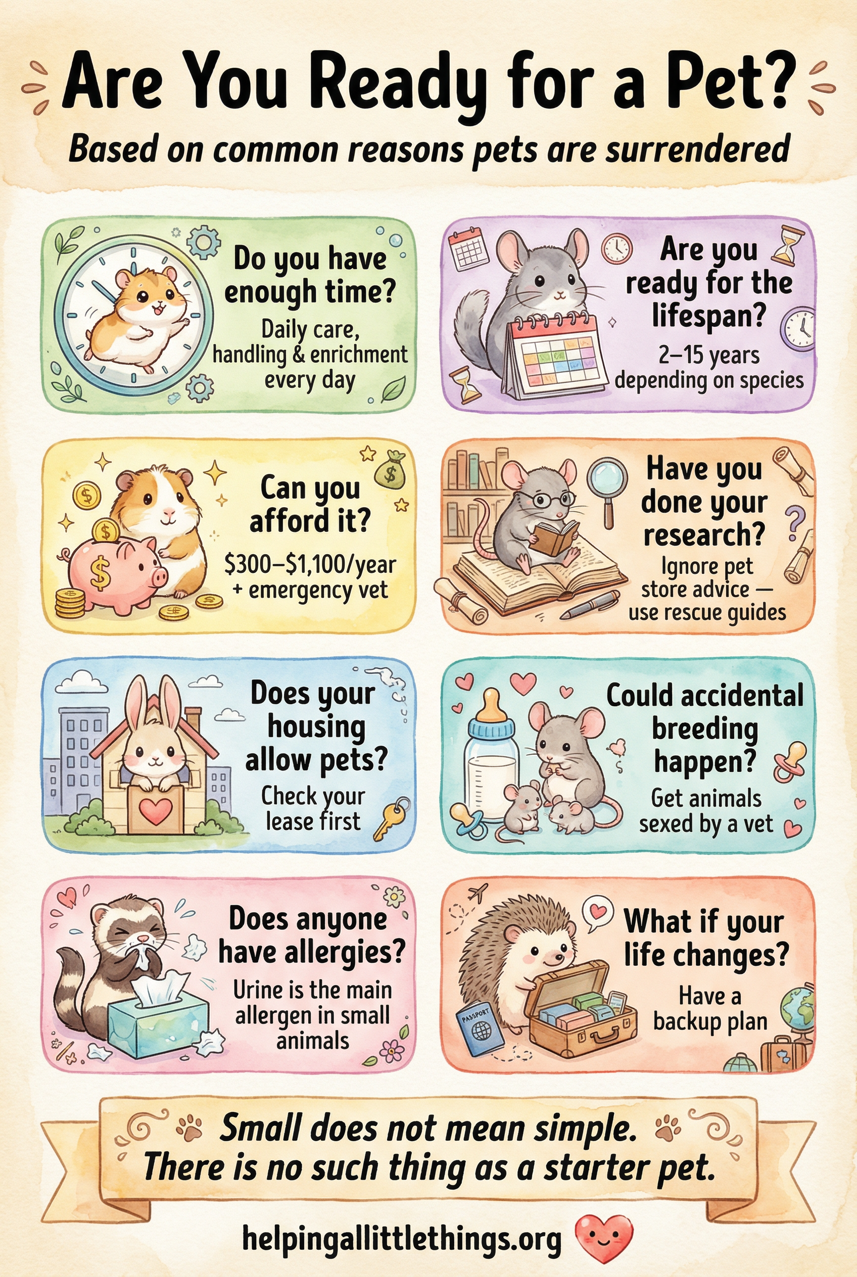 Are You Ready for a Pet? infographic showing 8 key questions to ask before getting any pet