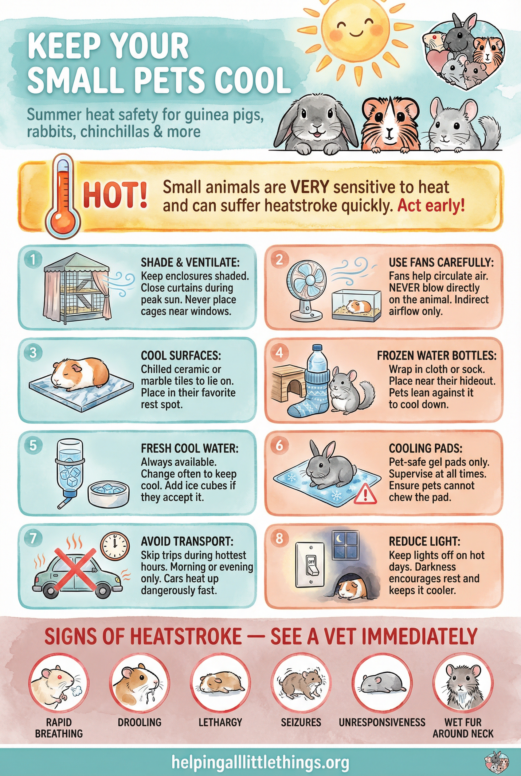 Infographic from Helping All Little Things