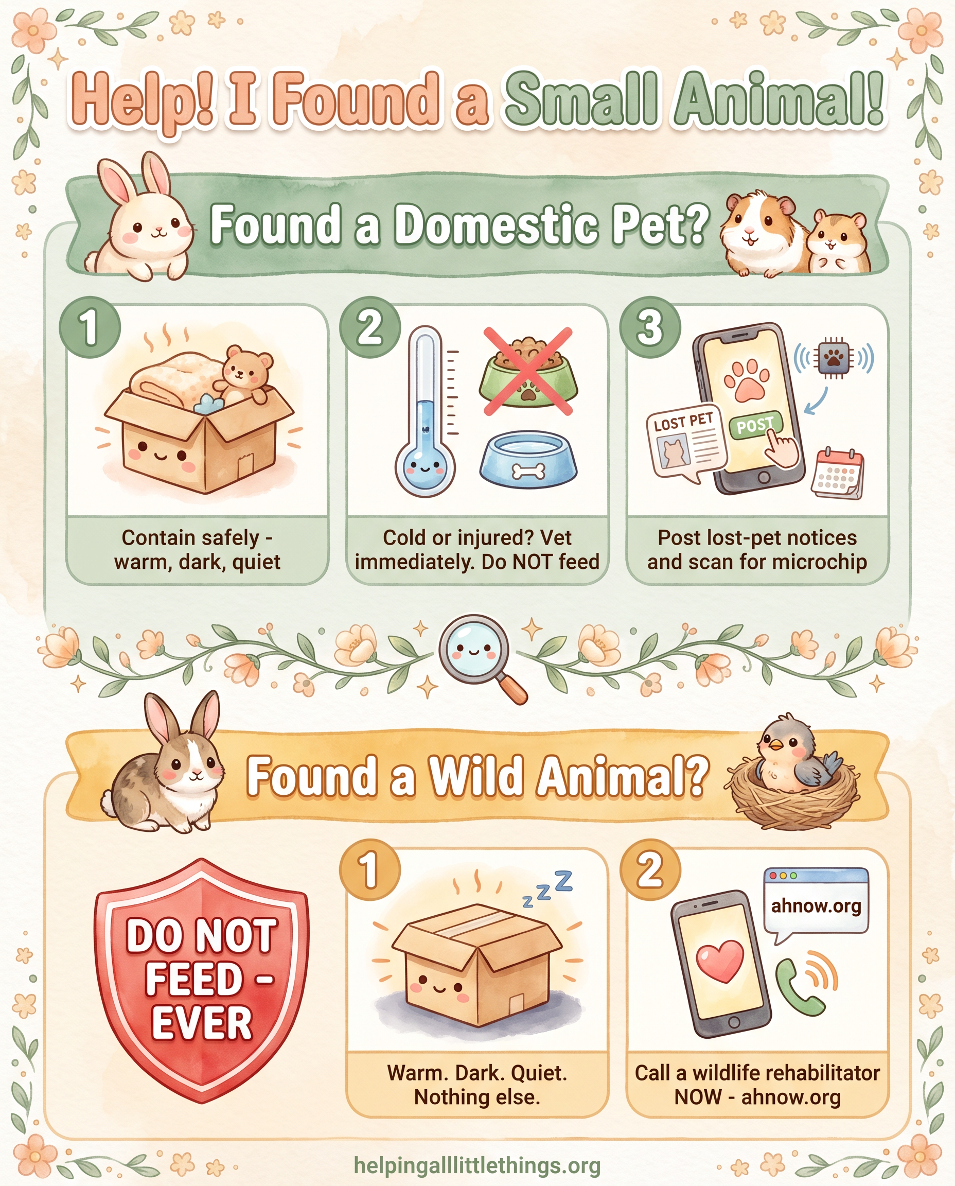 Kawaii-style infographic showing what to do when you find a small pet or wild animal