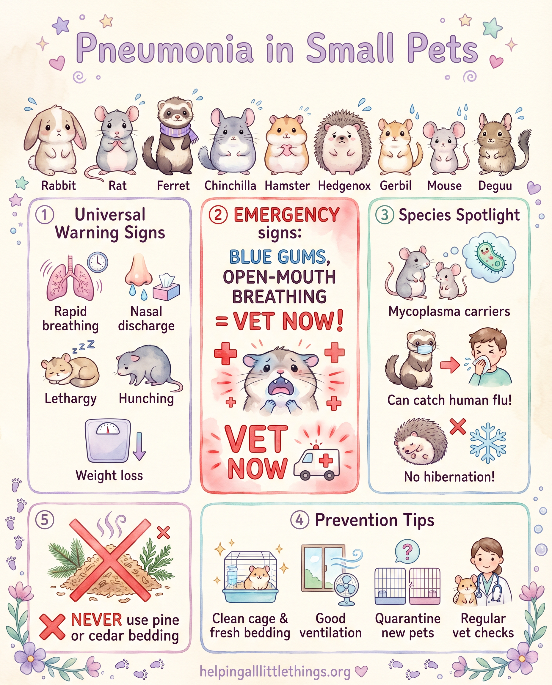 Infographic from Helping All Little Things