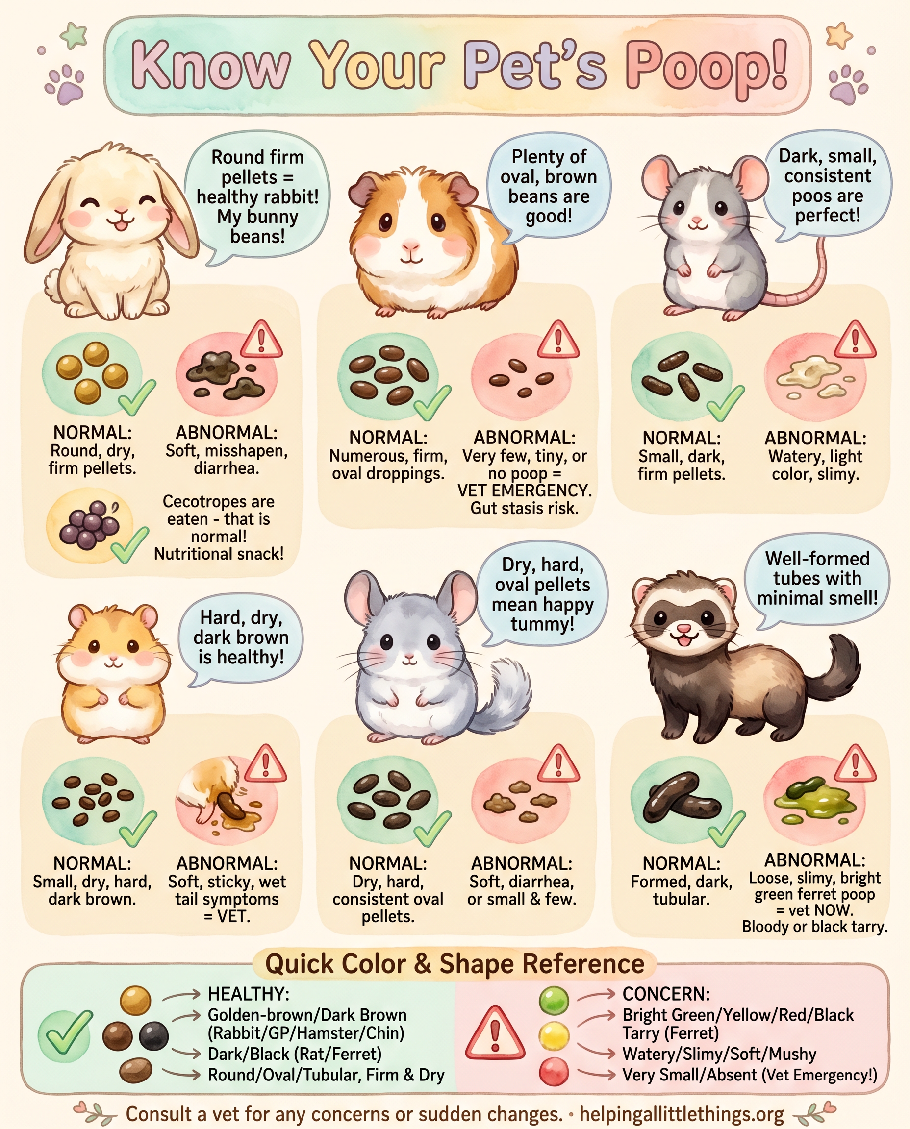 Infographic from Helping All Little Things