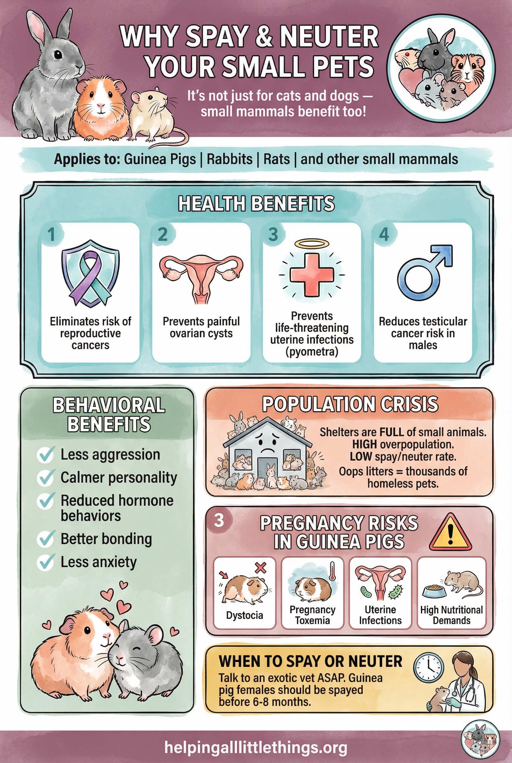 Infographic from Helping All Little Things