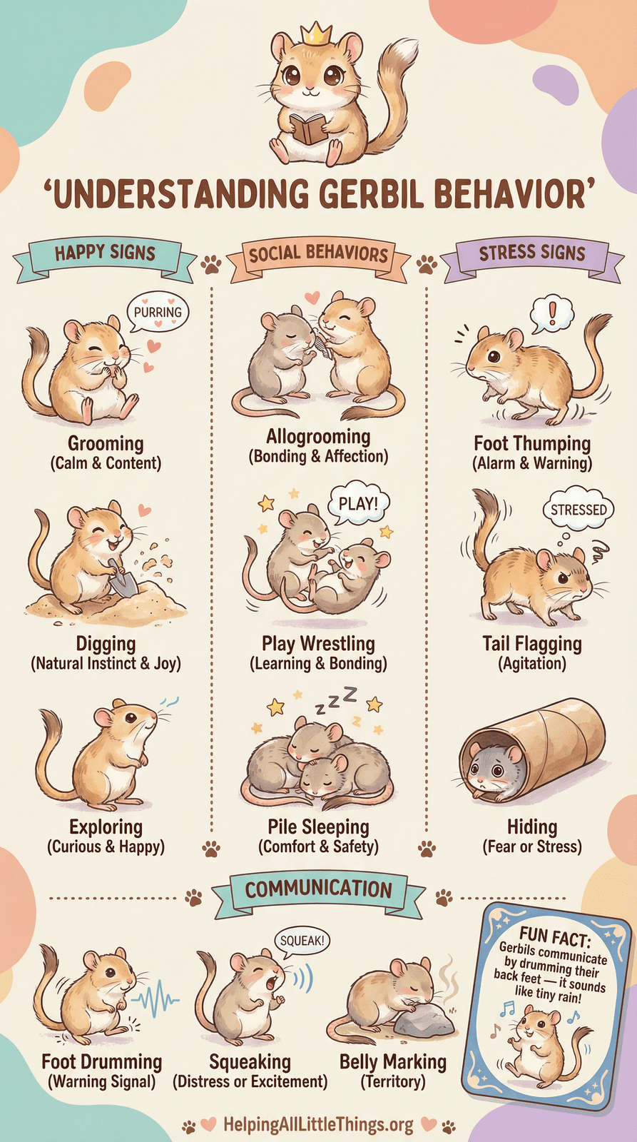 Infographic from Helping All Little Things