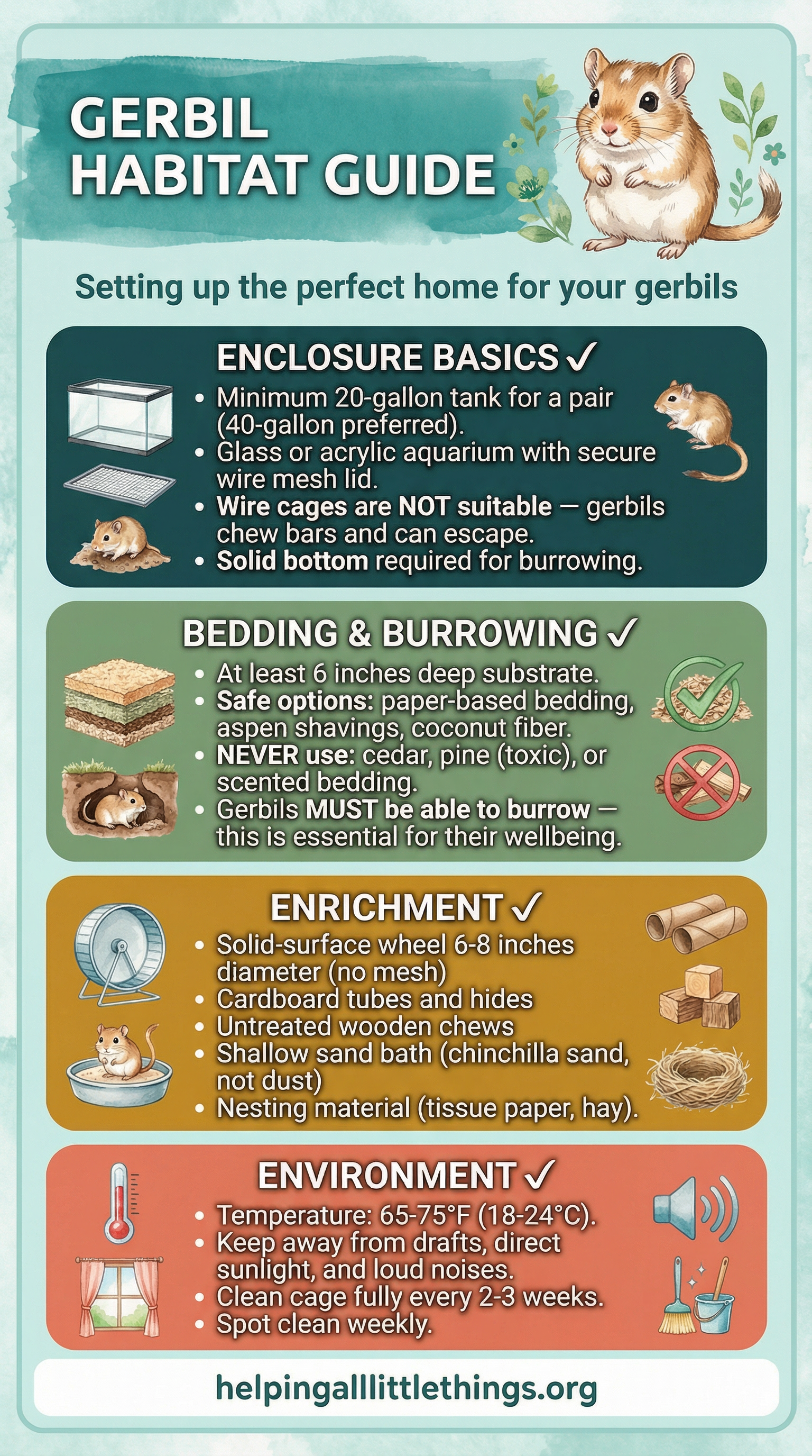 An infographic showing the ideal habitat setup for gerbils, including enclosure type, bedding depth, enrichment items, and environmental conditions.
