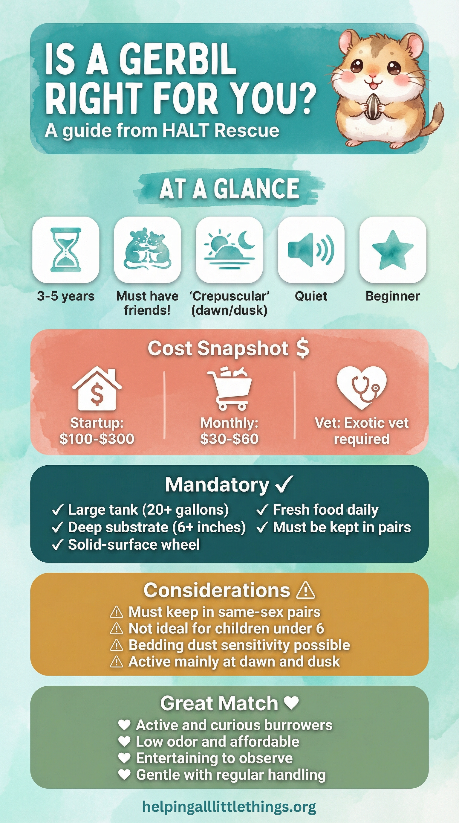 An infographic summarizing the key considerations for gerbil ownership, including lifespan, social needs, cost, habitat requirements, and suitability for different families.