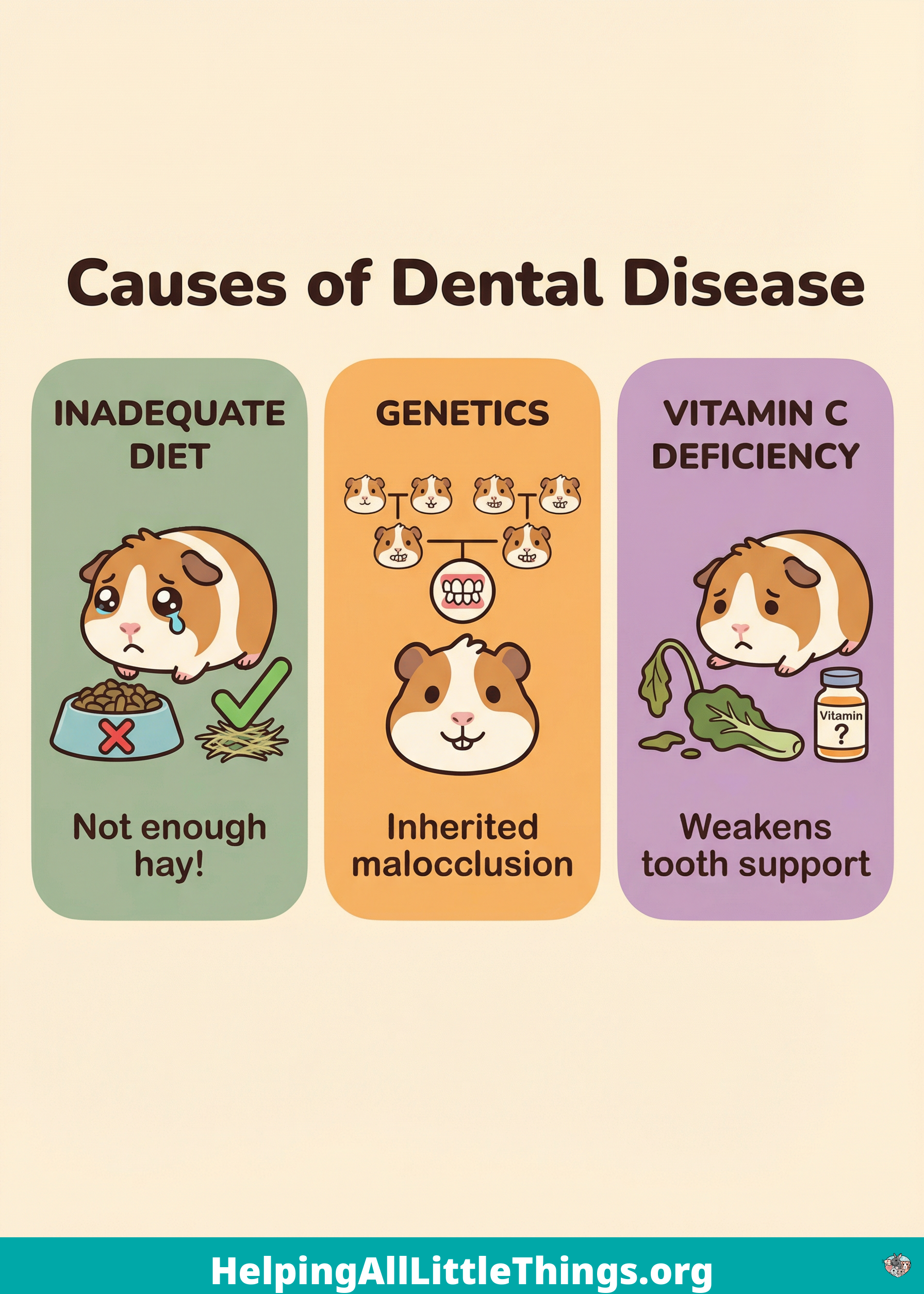 Infographic from Helping All Little Things