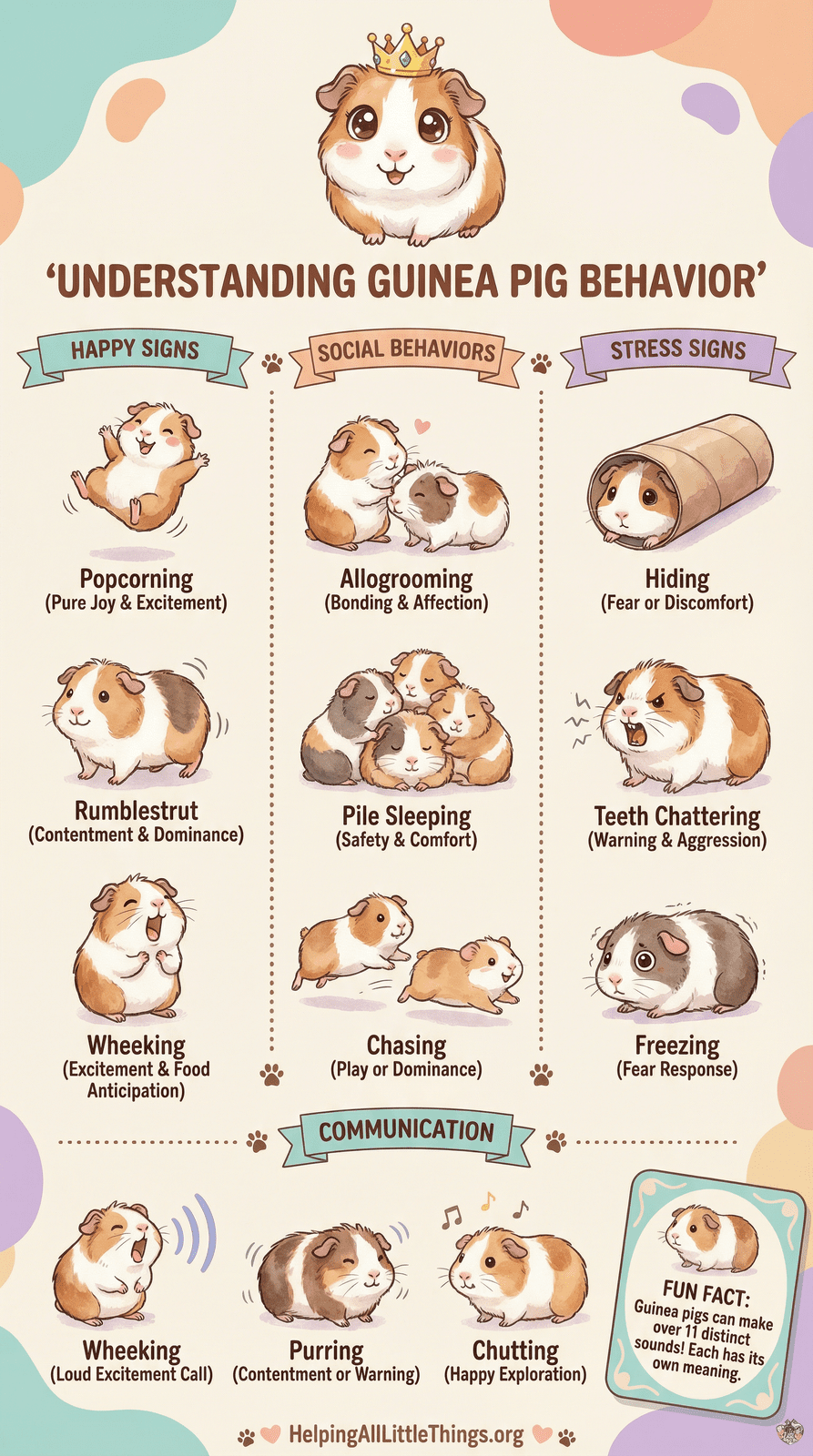 Infographic from Helping All Little Things