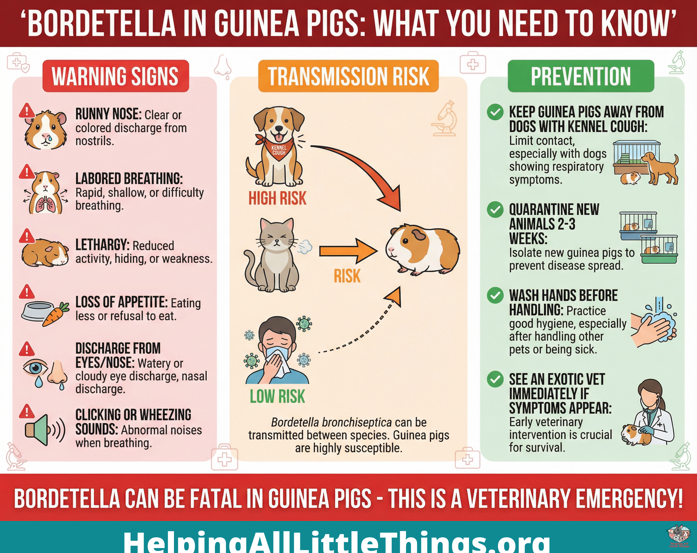 Infographic from Helping All Little Things