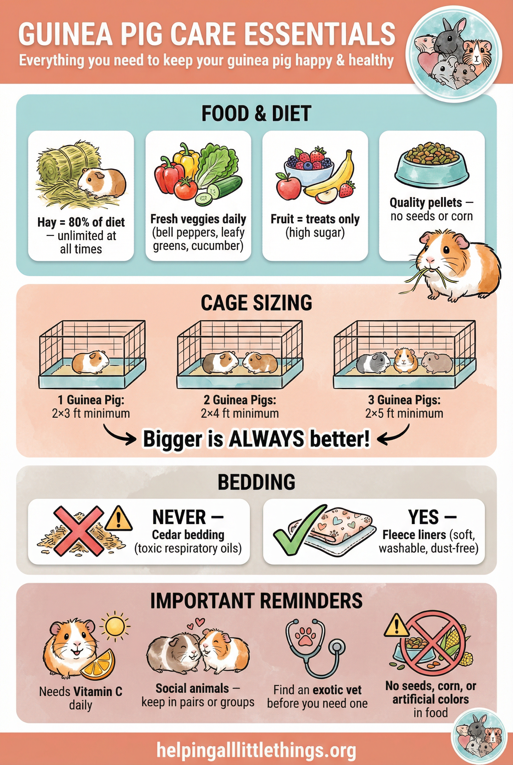 Infographic from Helping All Little Things