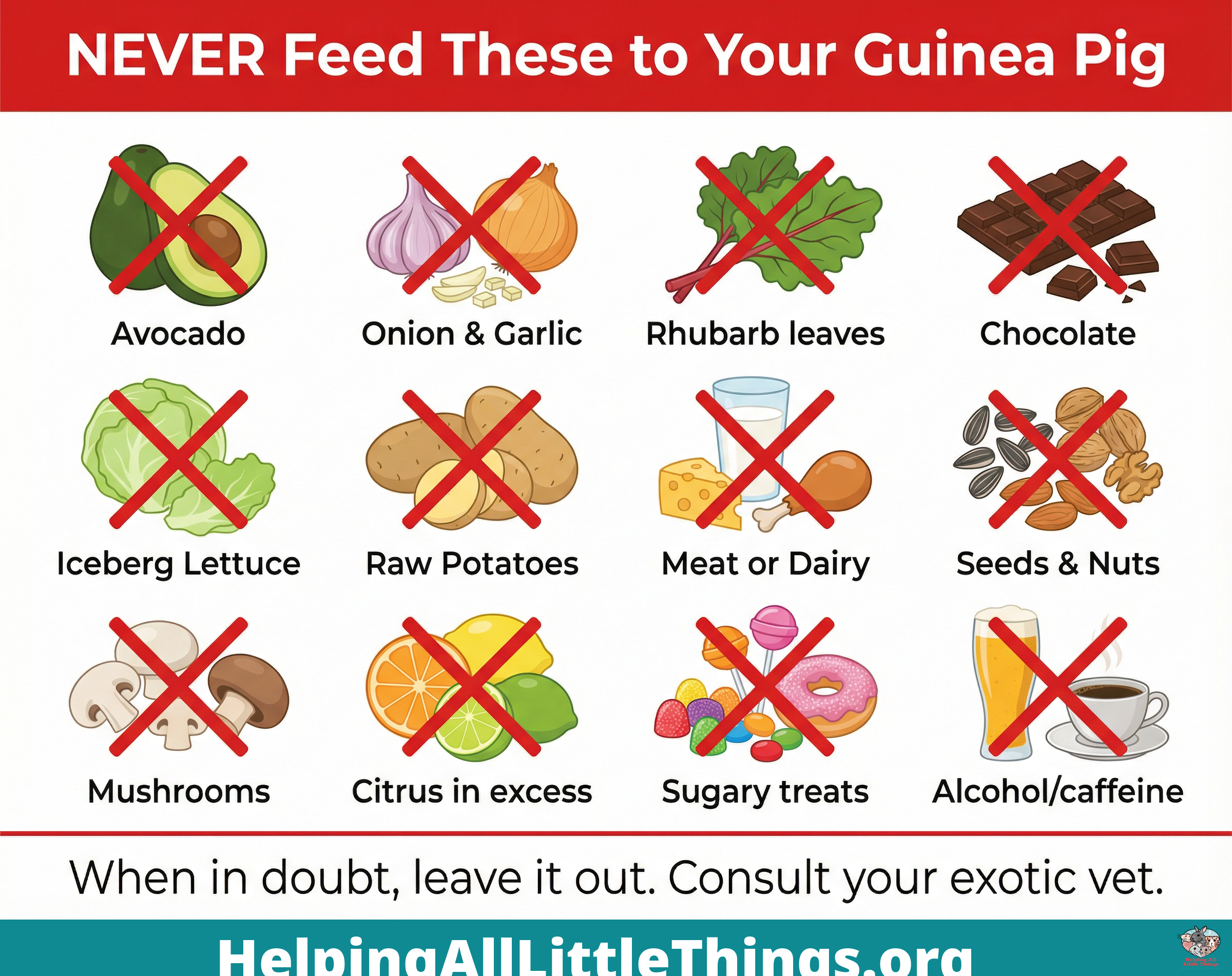 Infographic from Helping All Little Things