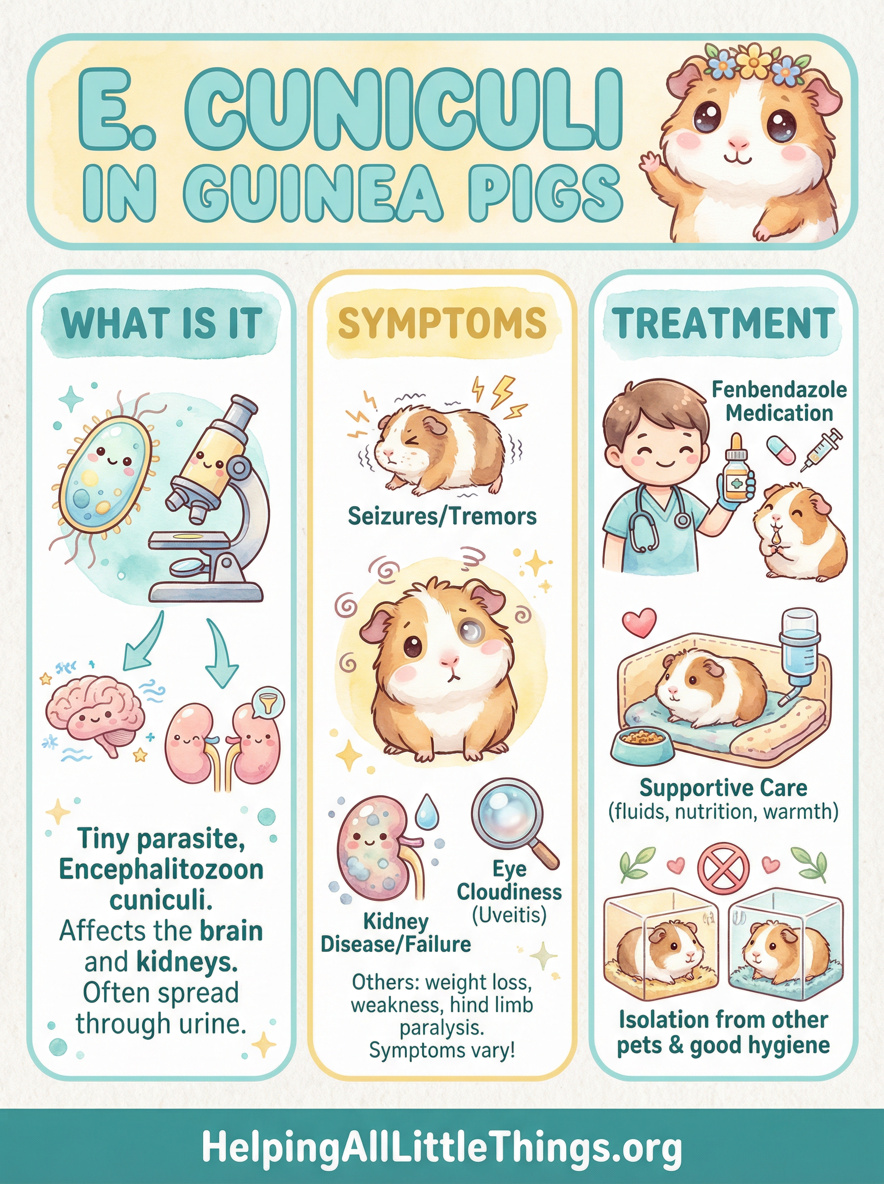 Infographic from Helping All Little Things