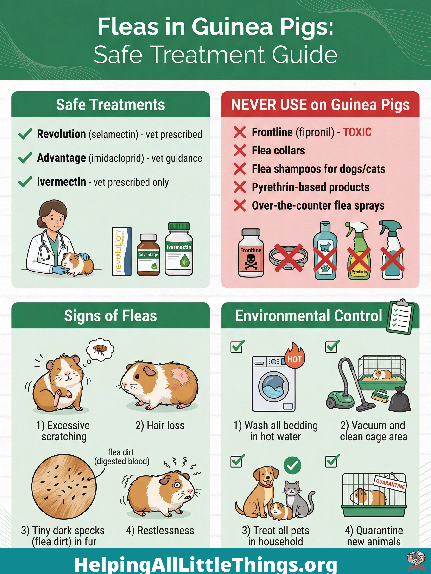 Infographic from Helping All Little Things