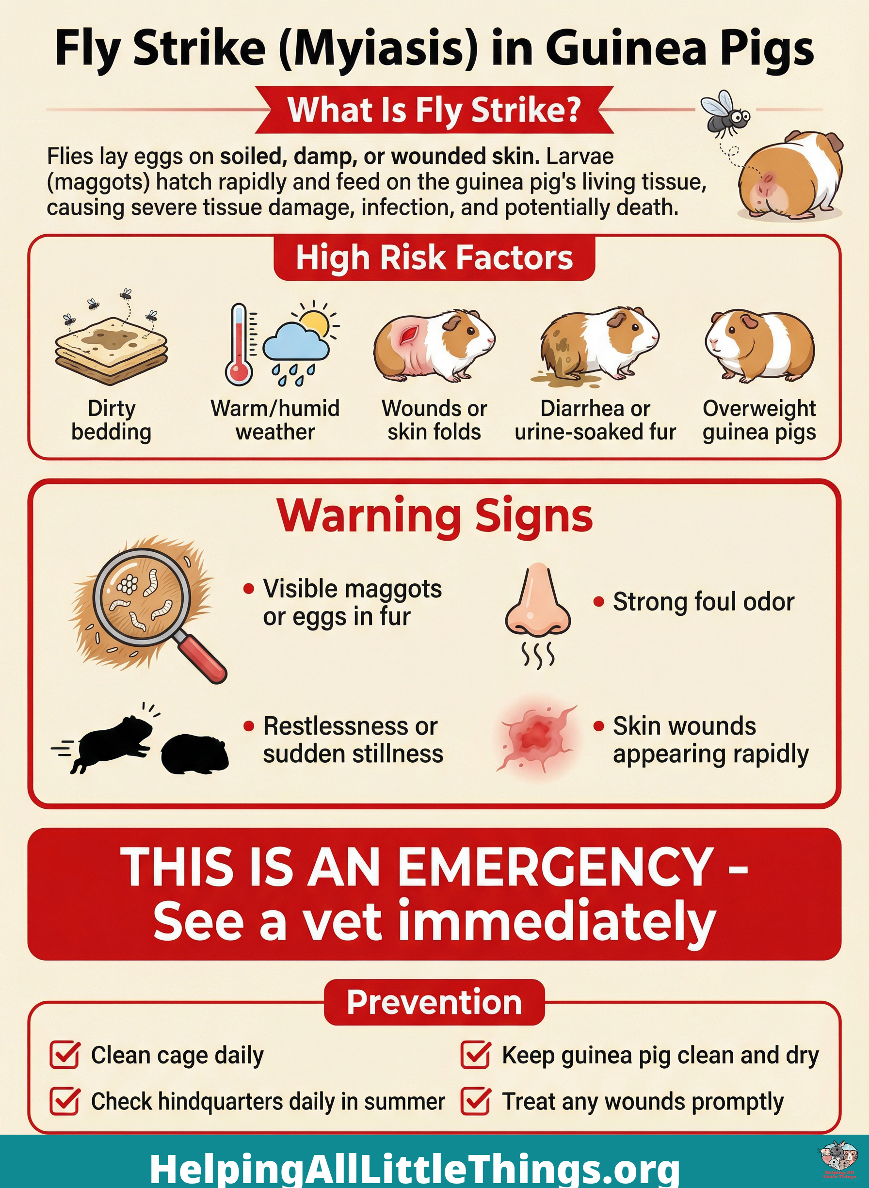 Infographic from Helping All Little Things
