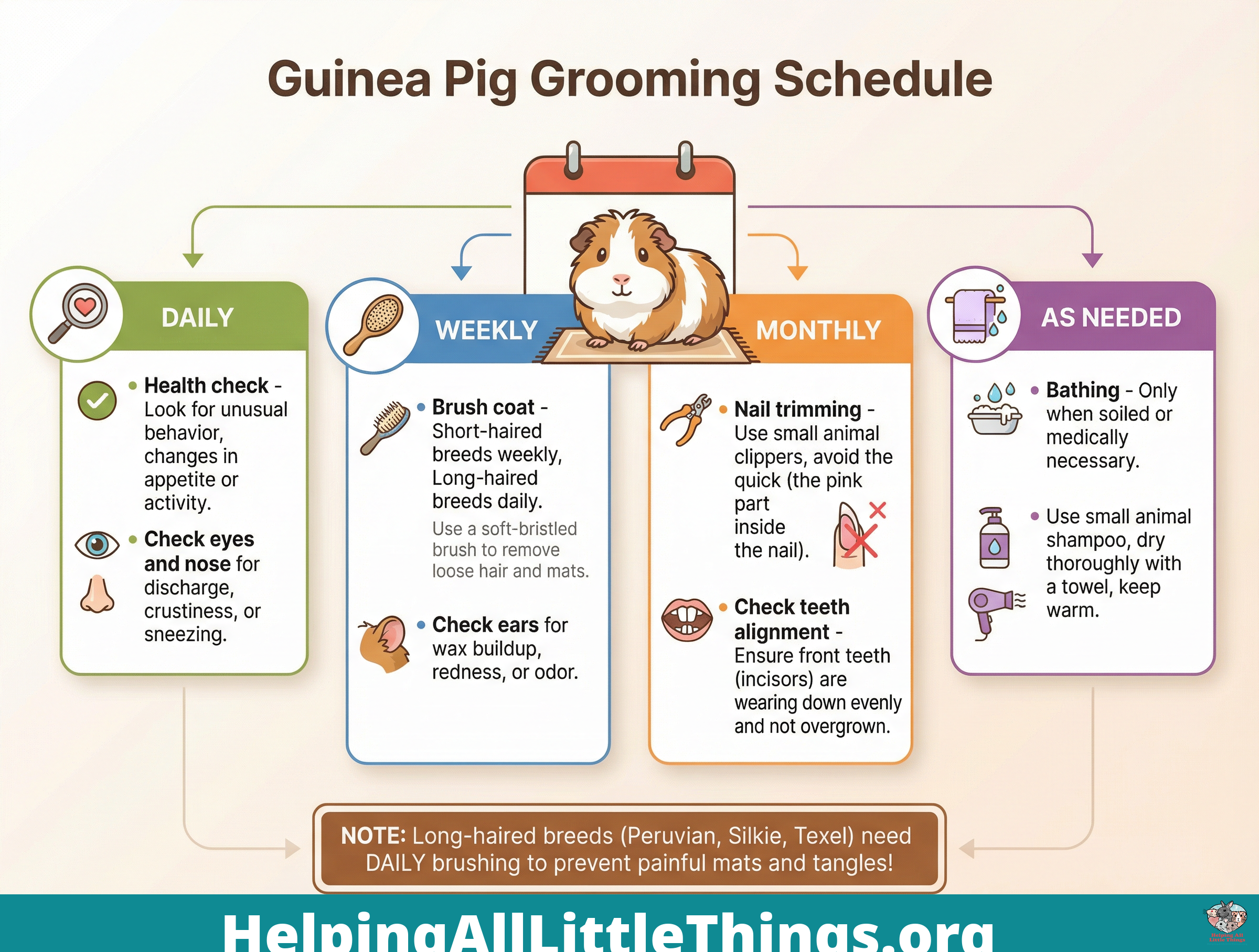 Infographic from Helping All Little Things