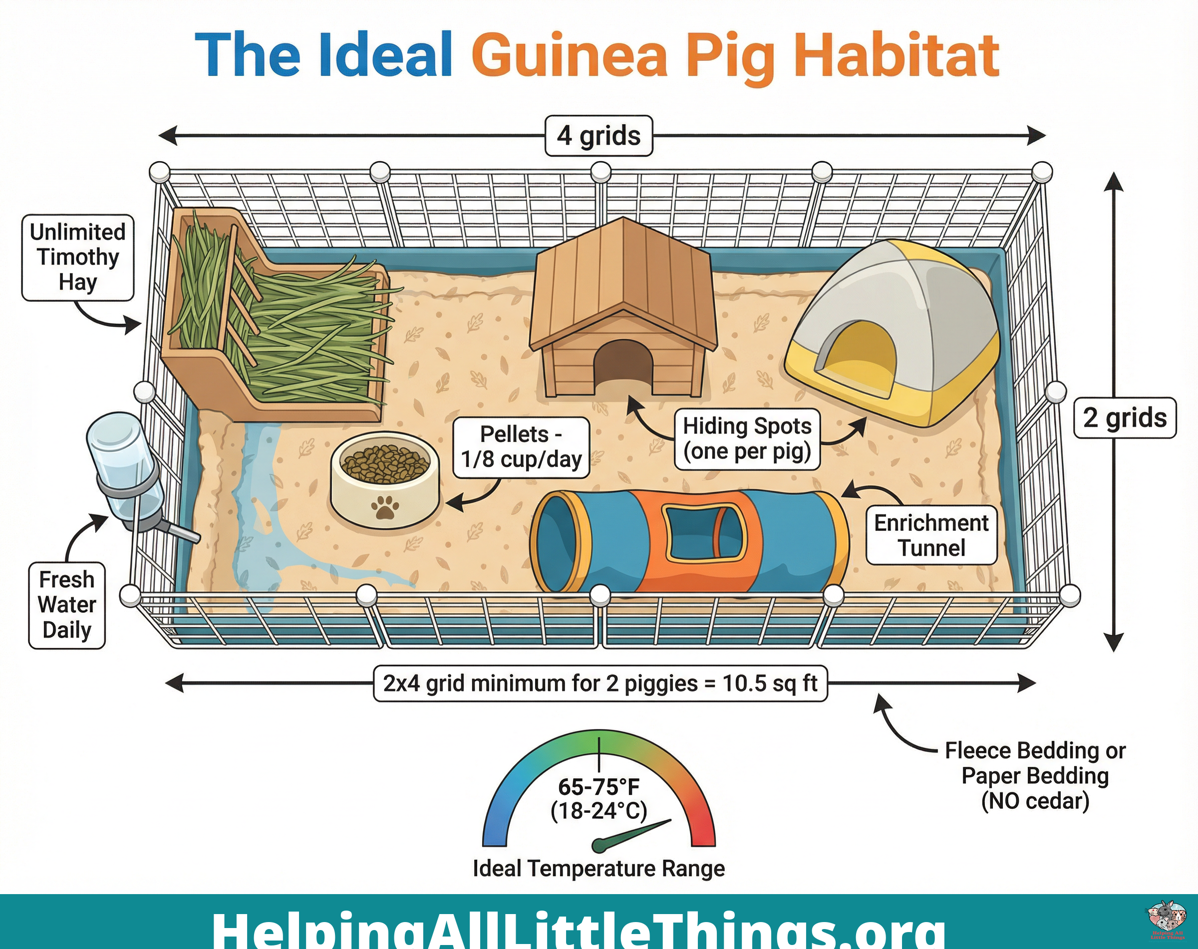 Infographic from Helping All Little Things