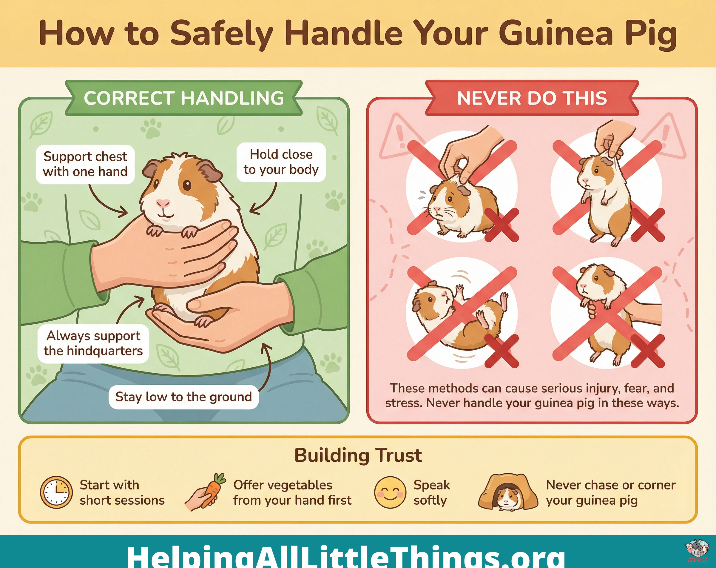 Infographic from Helping All Little Things