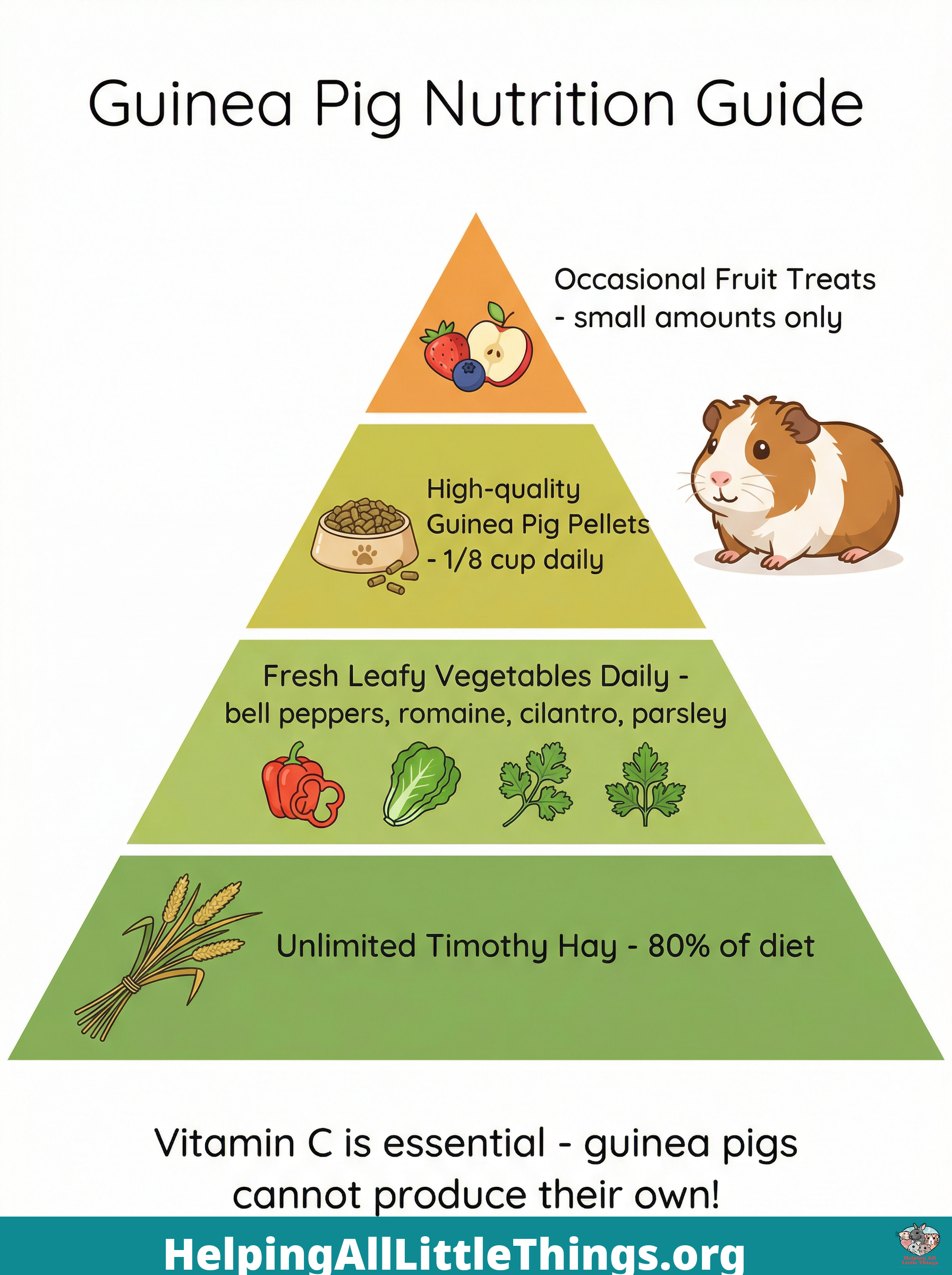 Infographic from Helping All Little Things