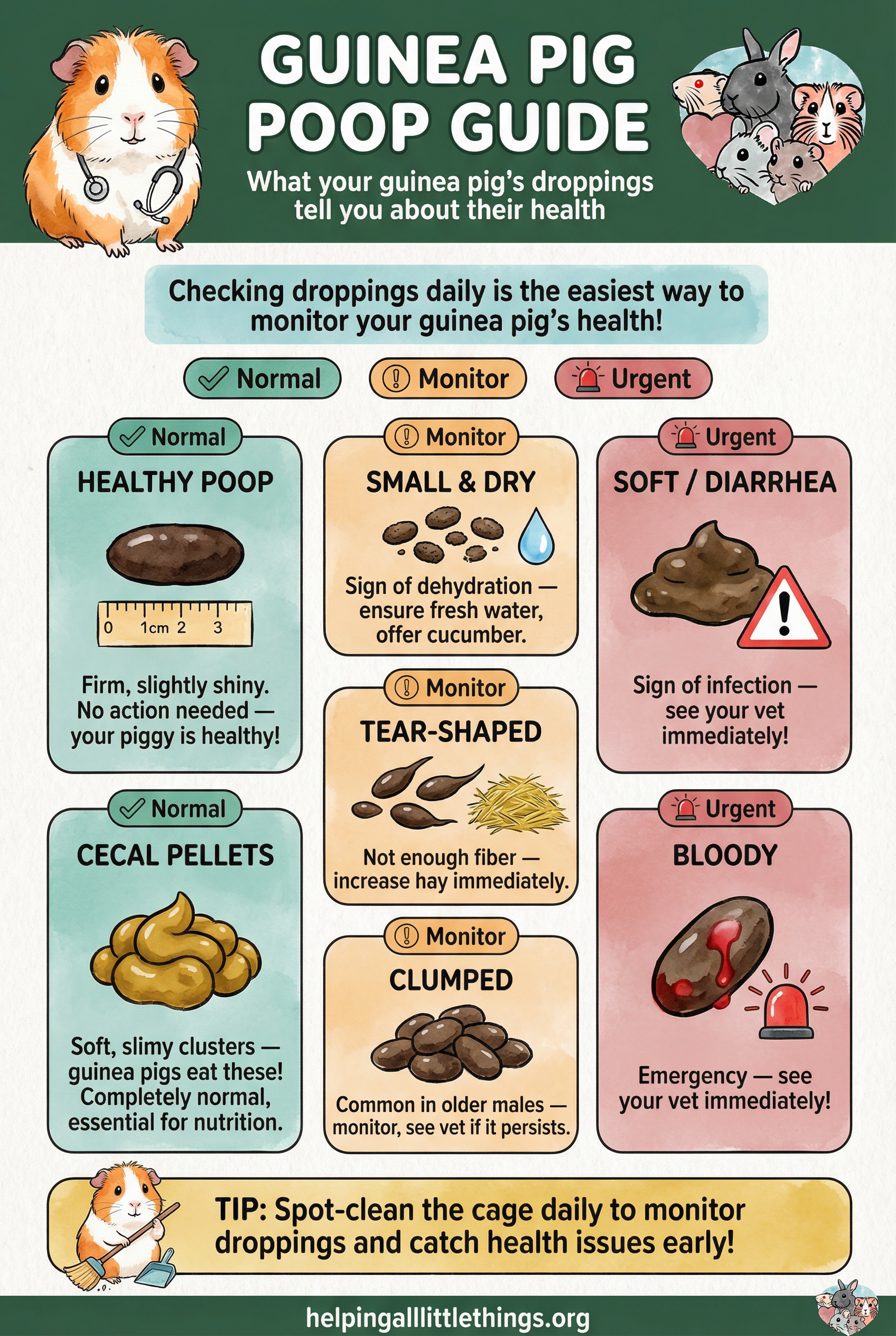 Infographic from Helping All Little Things