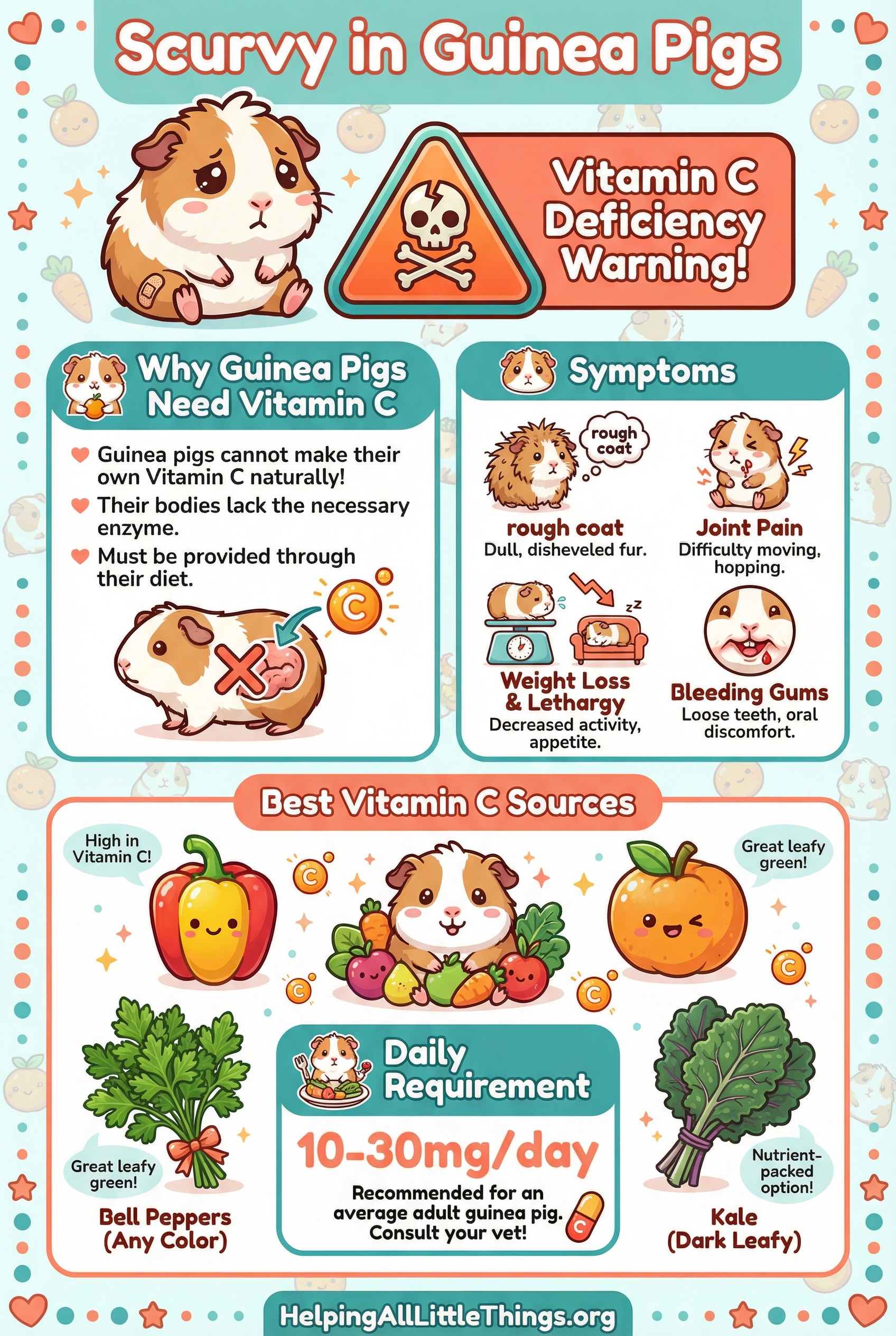 Infographic from Helping All Little Things