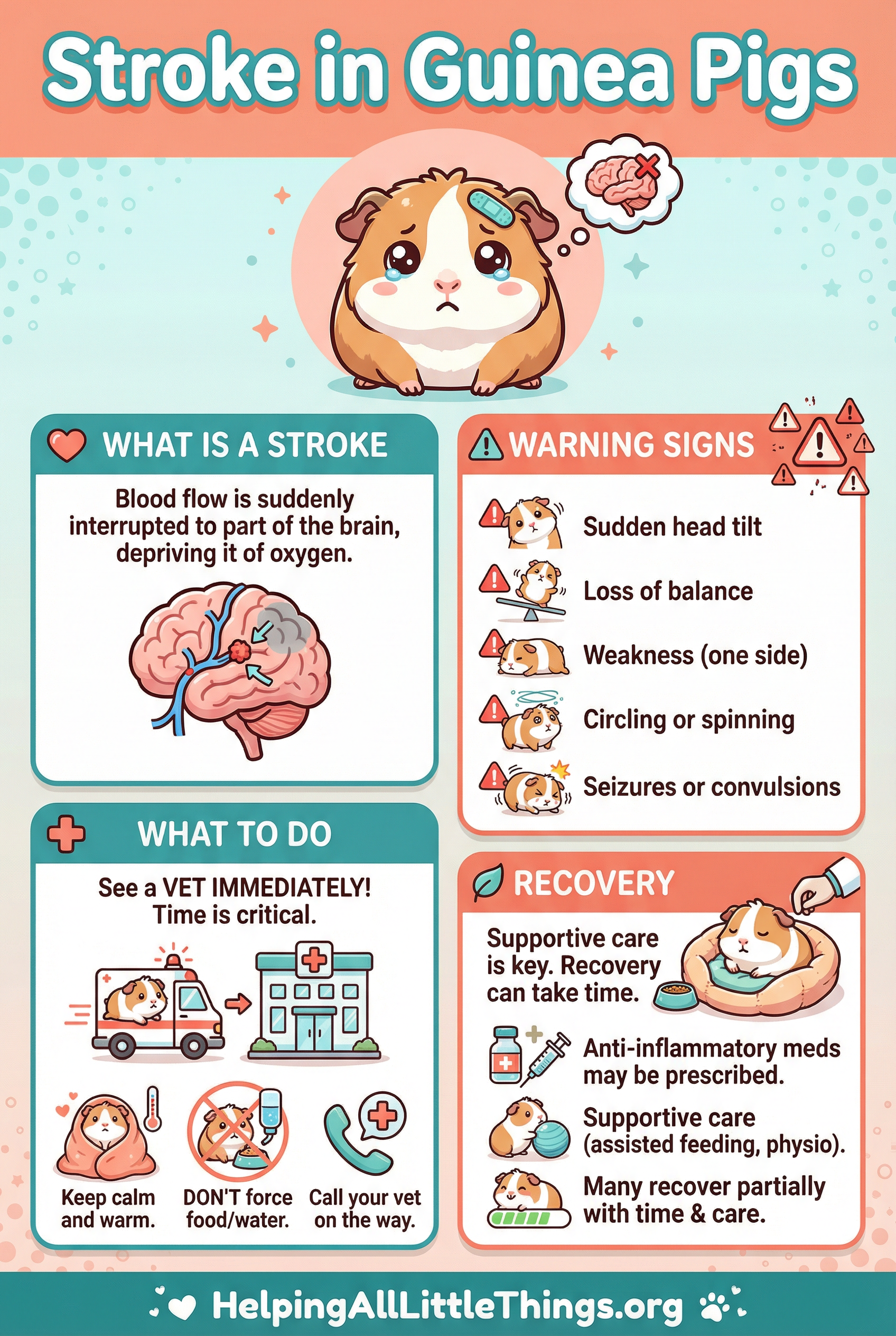 Infographic from Helping All Little Things