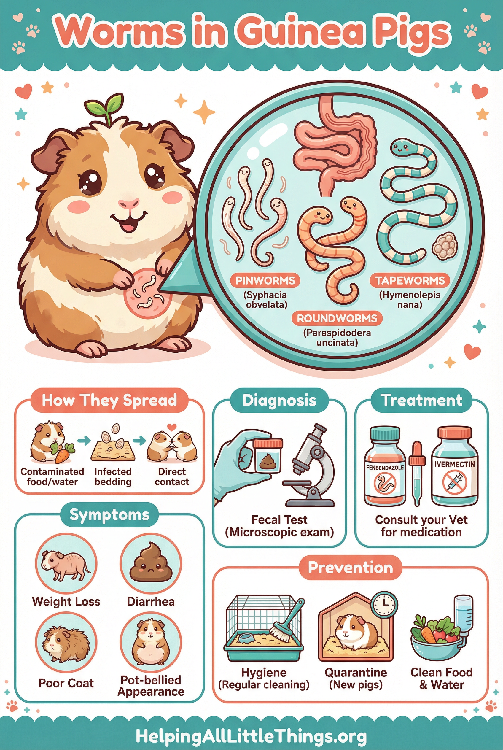 Infographic from Helping All Little Things