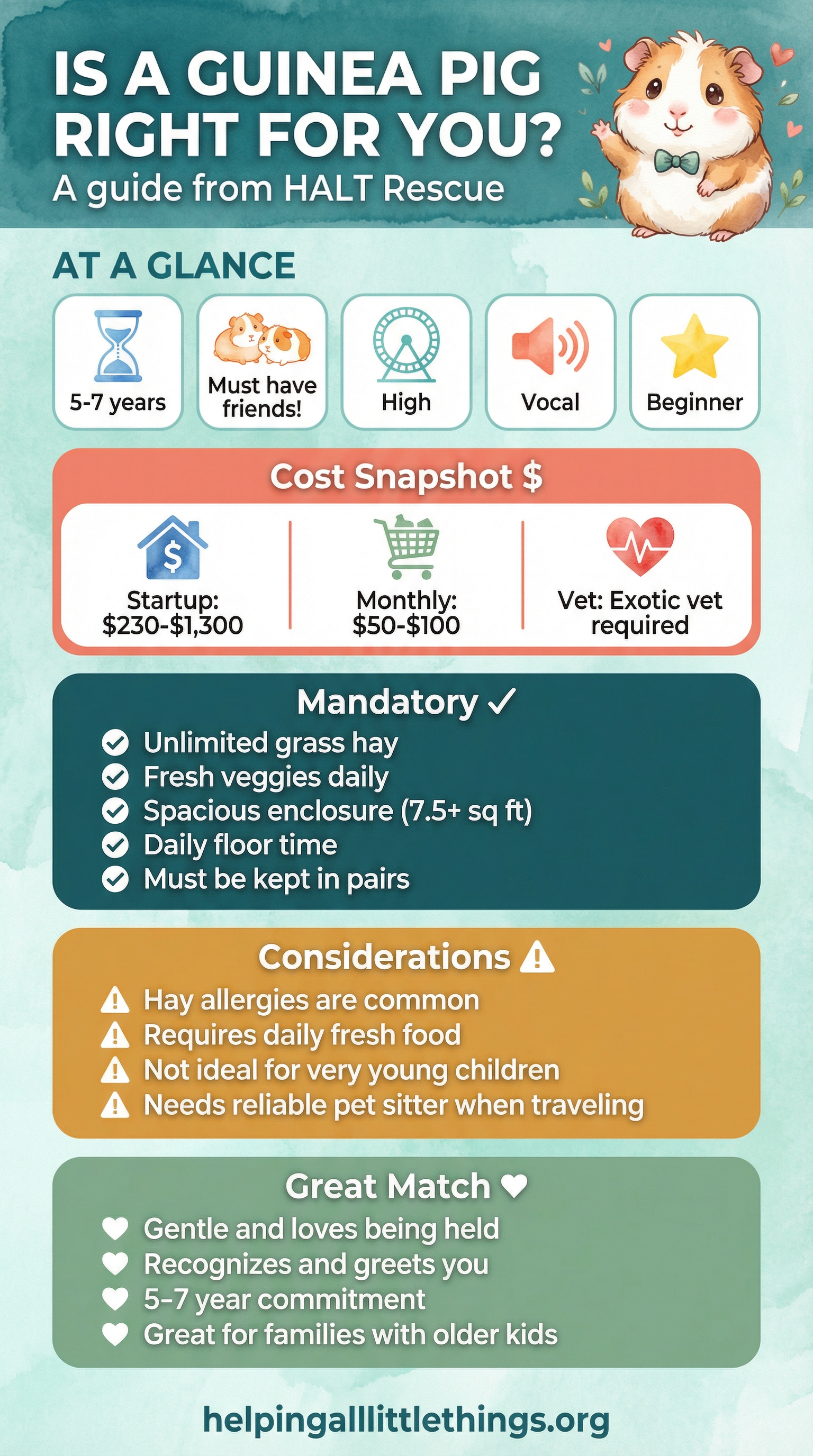 Is a Guinea Pig Right for You? Quick reference guide from HALT Rescue
