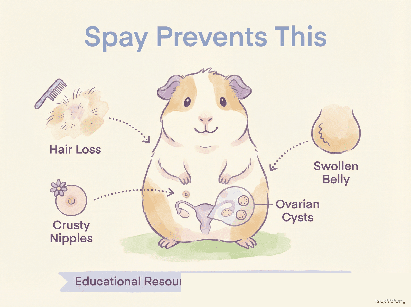 Infographic from Helping All Little Things