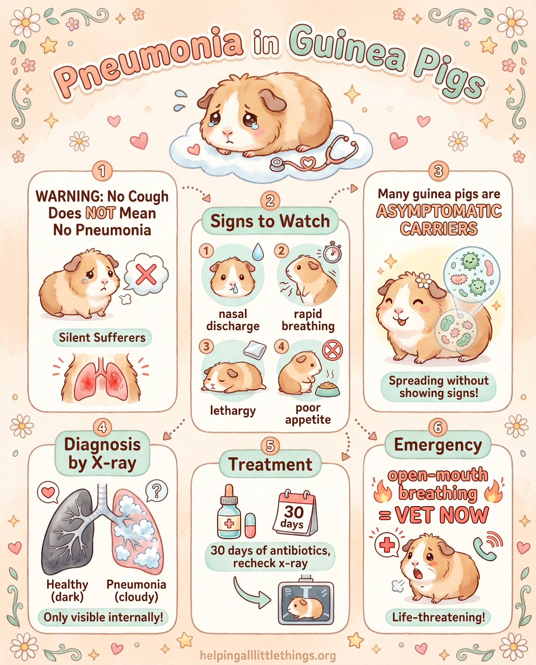 Infographic from Helping All Little Things