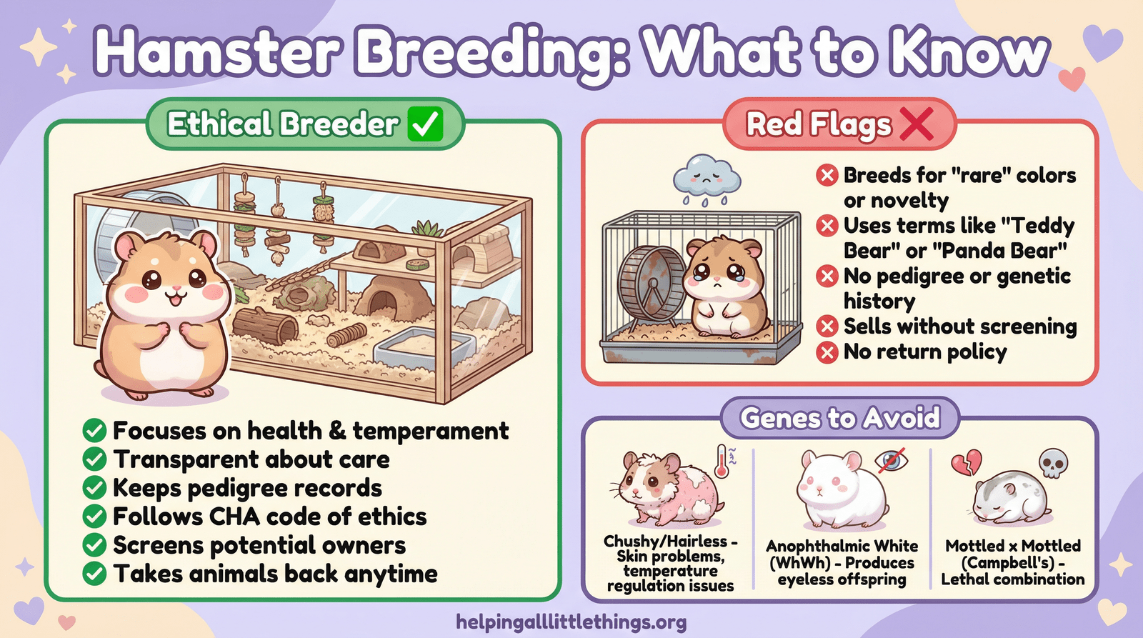 Infographic from Helping All Little Things