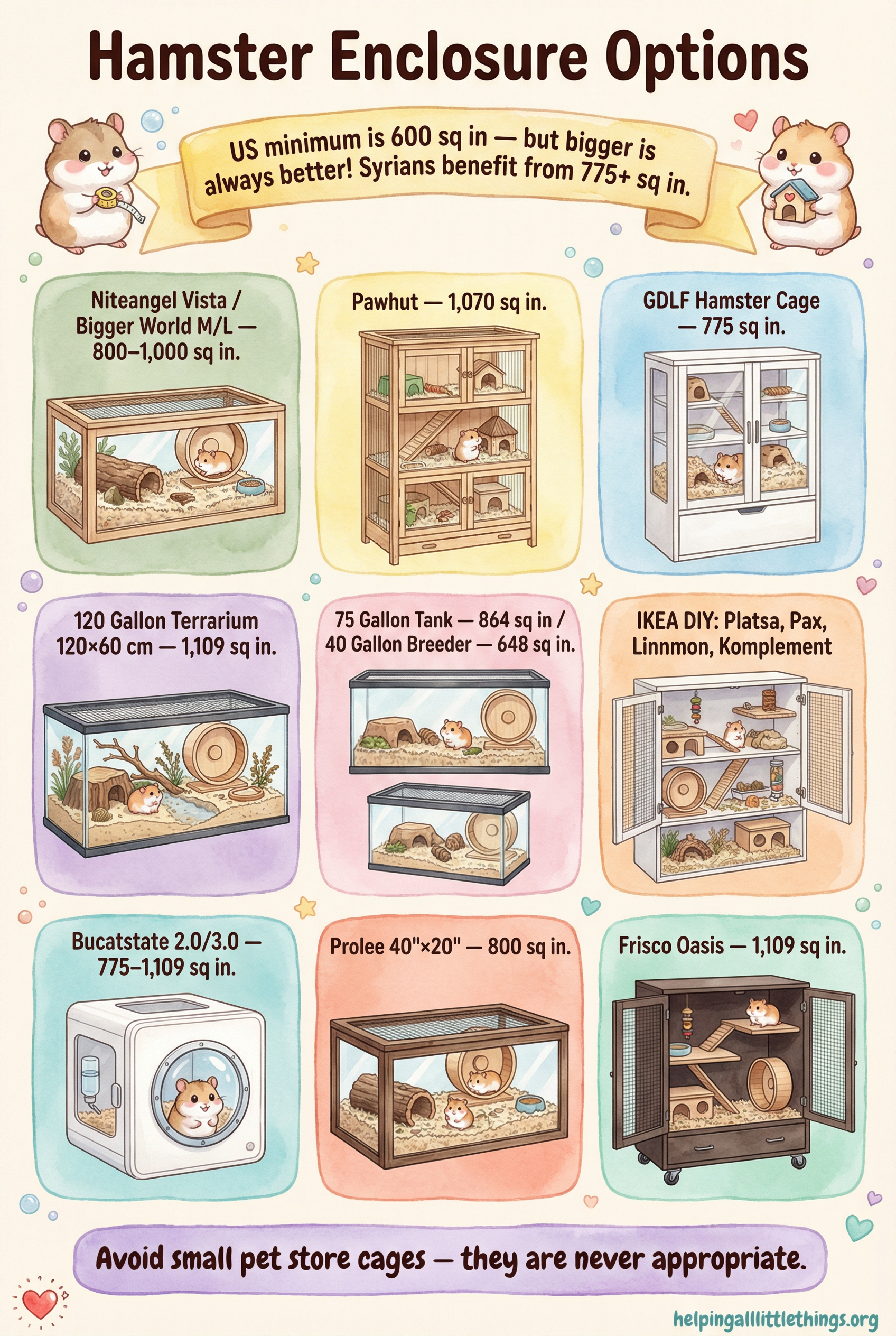Hamster Enclosure Options infographic showing 9 recommended enclosures with sizes and descriptions.